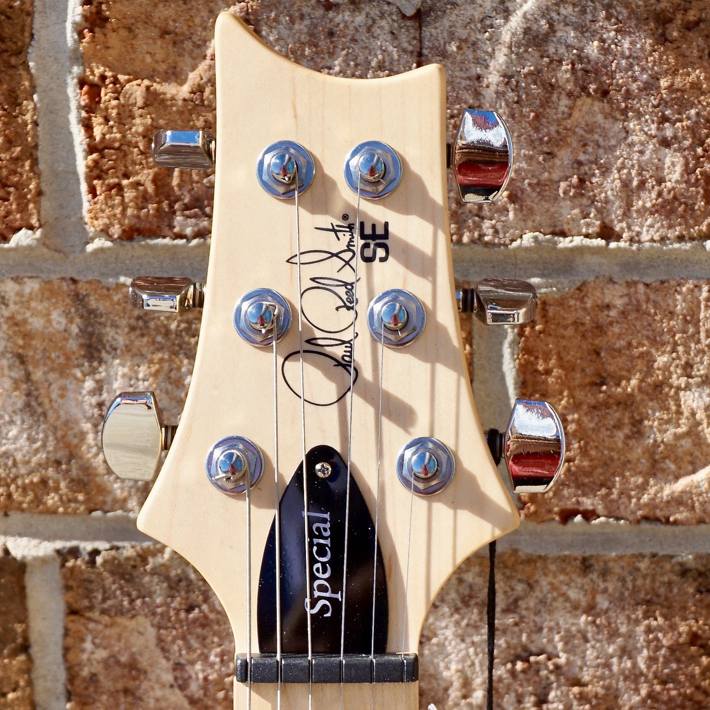 PRS SE Swamp Ash Special Iri Blue