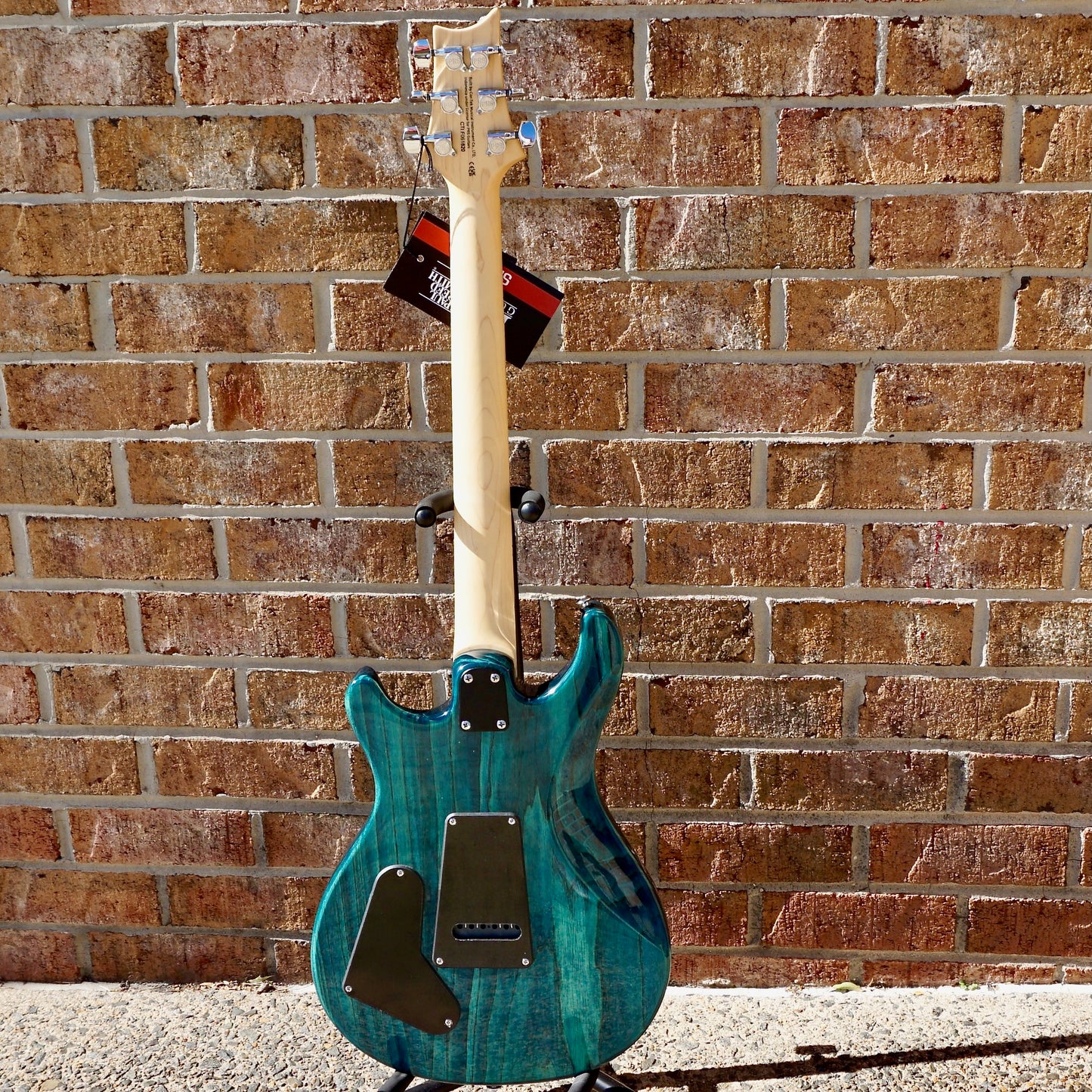 PRS SE Swamp Ash Special Iri Blue