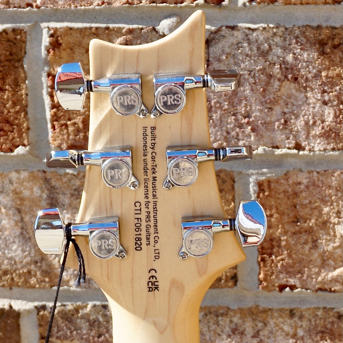 PRS SE Swamp Ash Special Iri Blue