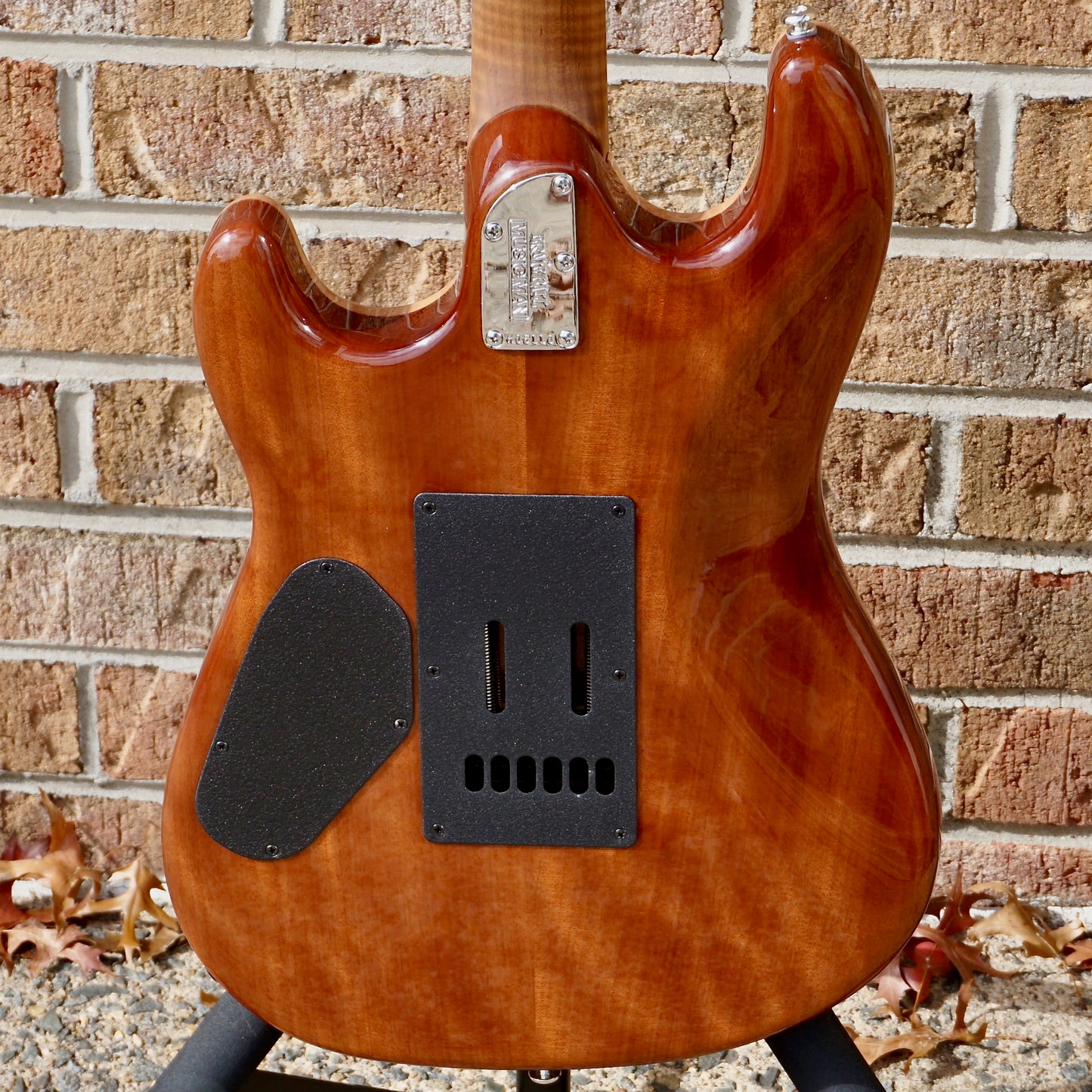 Ernie Ball Music Man Sabre HH Trem Honeysuckle