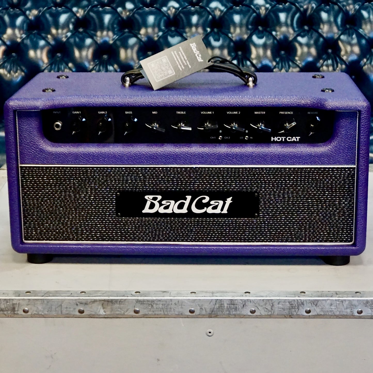 Bad Cat Hot Cat Purple Head