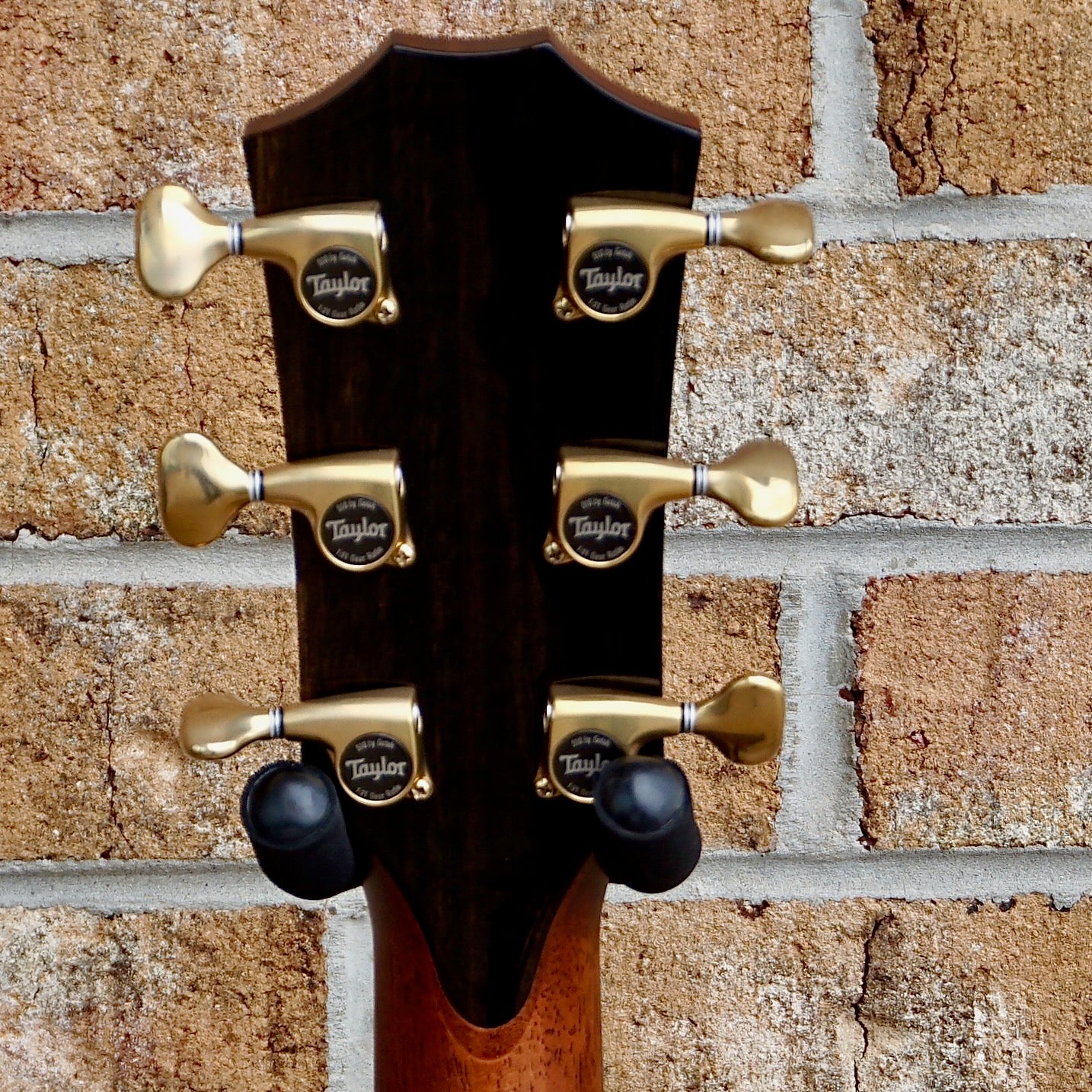 Taylor 914 Special Edition Cindy Inlay