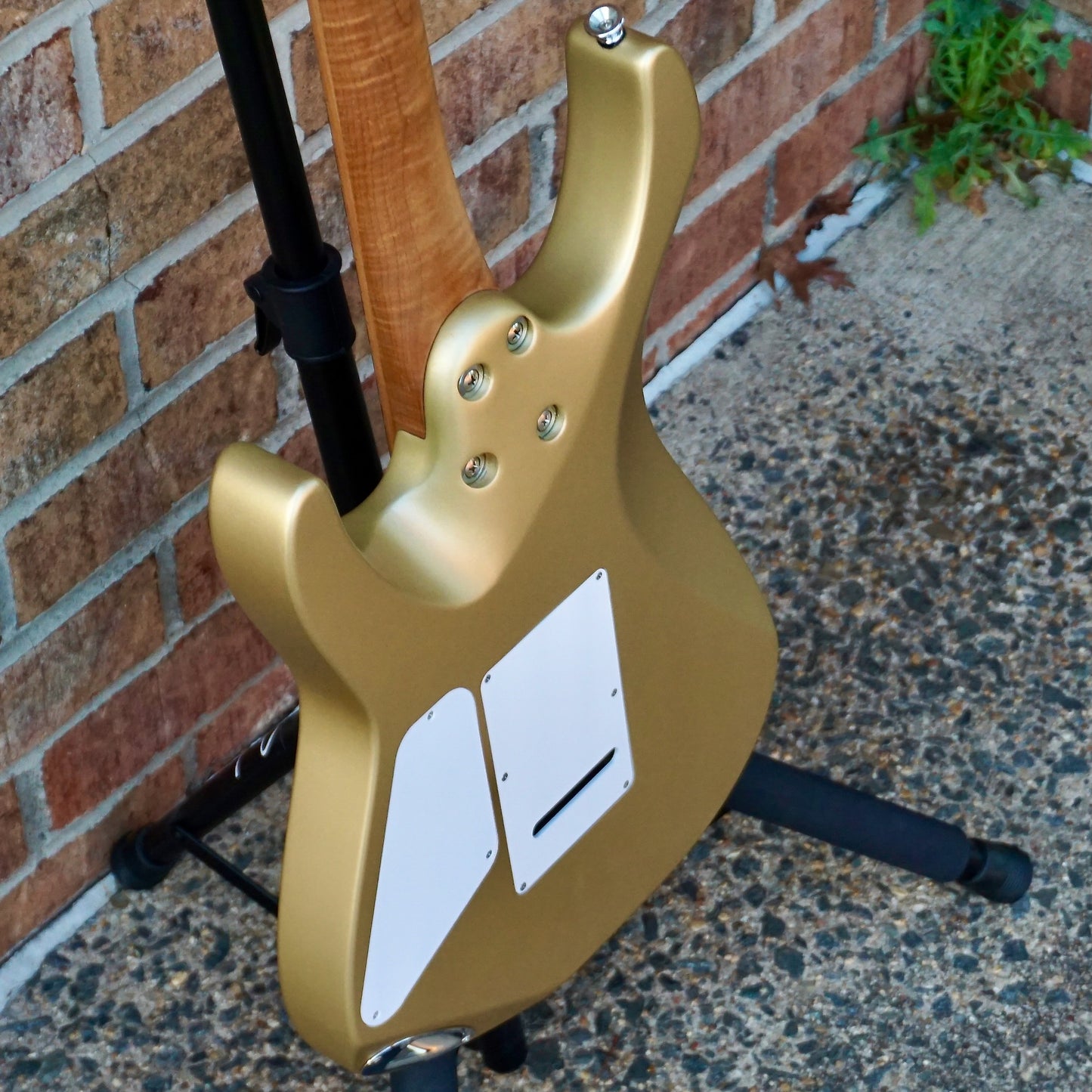 Charvel Pro-Mod DK22 SSS 2PT CM Caramelized Maple Fingerboard Pharaohs Gold
