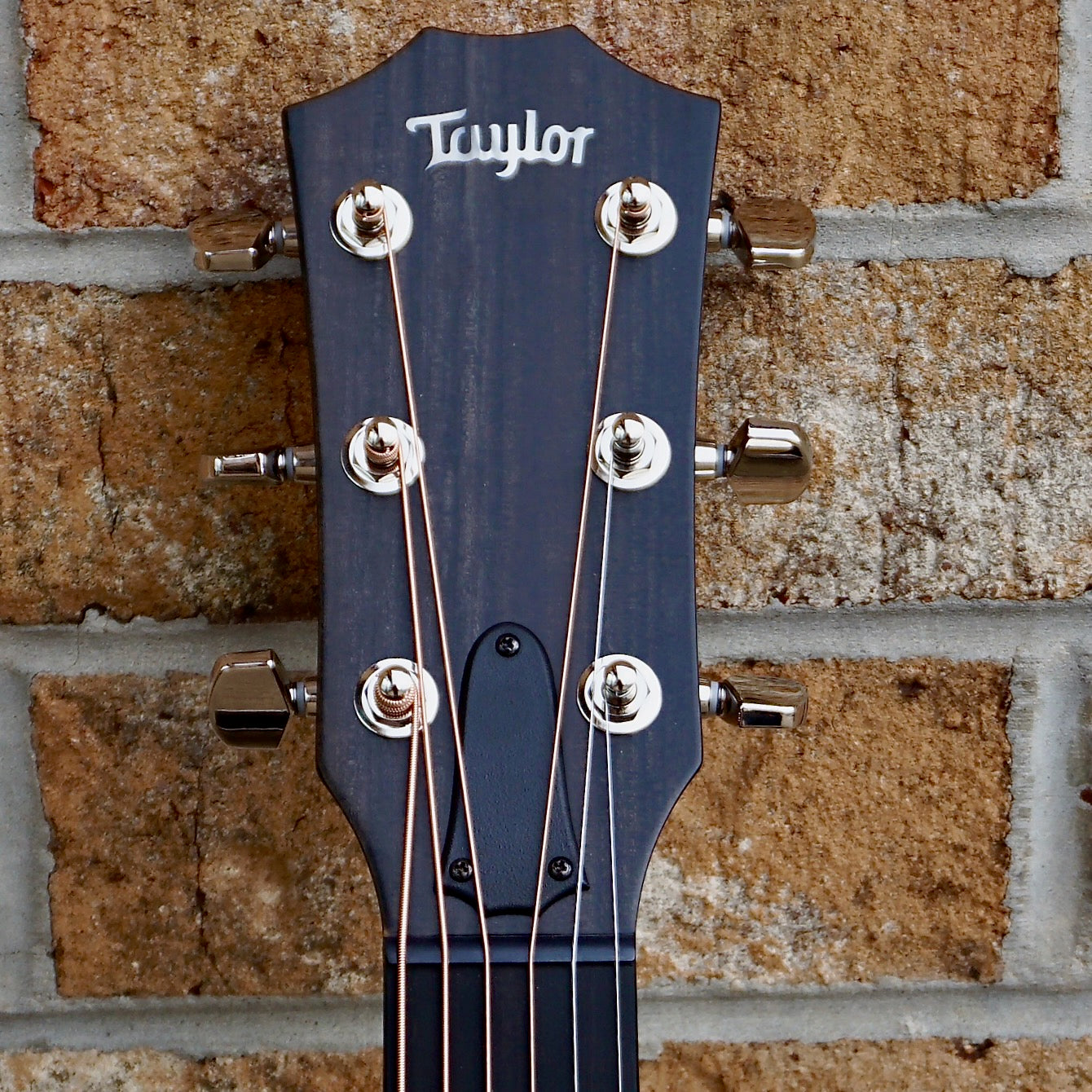 Taylor 414ce-R LTD Lily and Vine