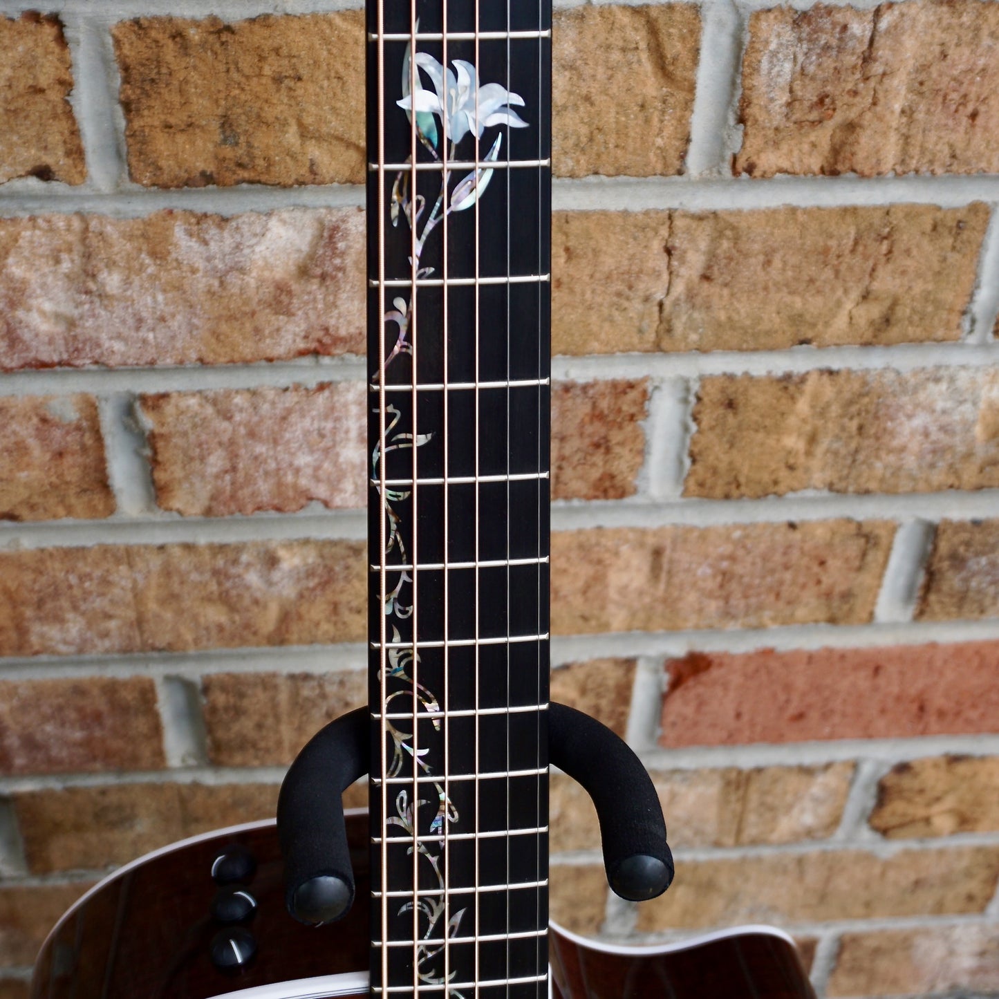 Taylor 414ce-R LTD Lily and Vine