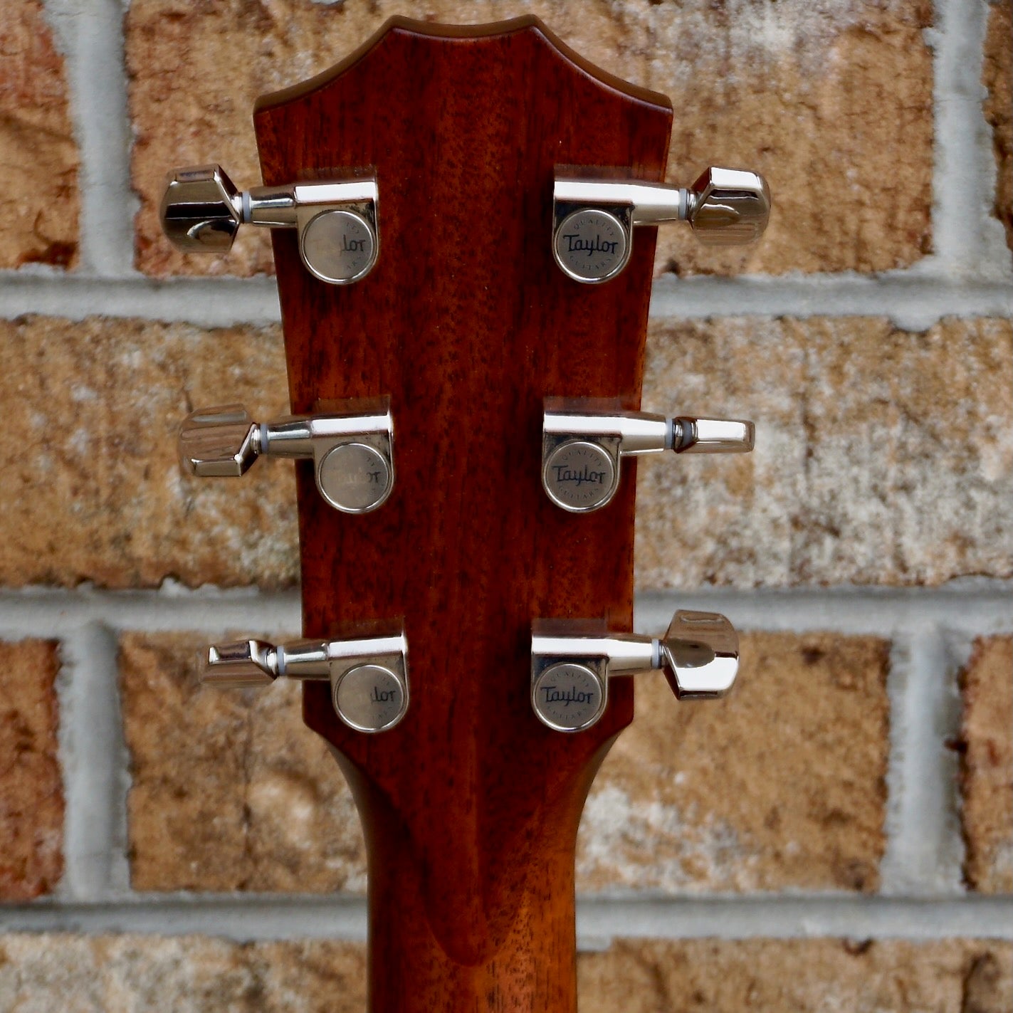 Taylor 414ce-R LTD Lily and Vine