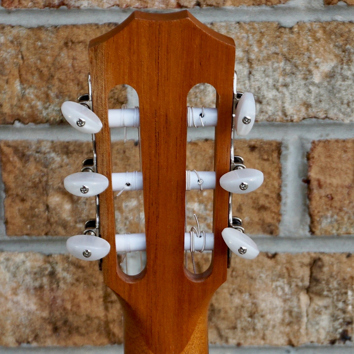 Taylor Academy 12e-N