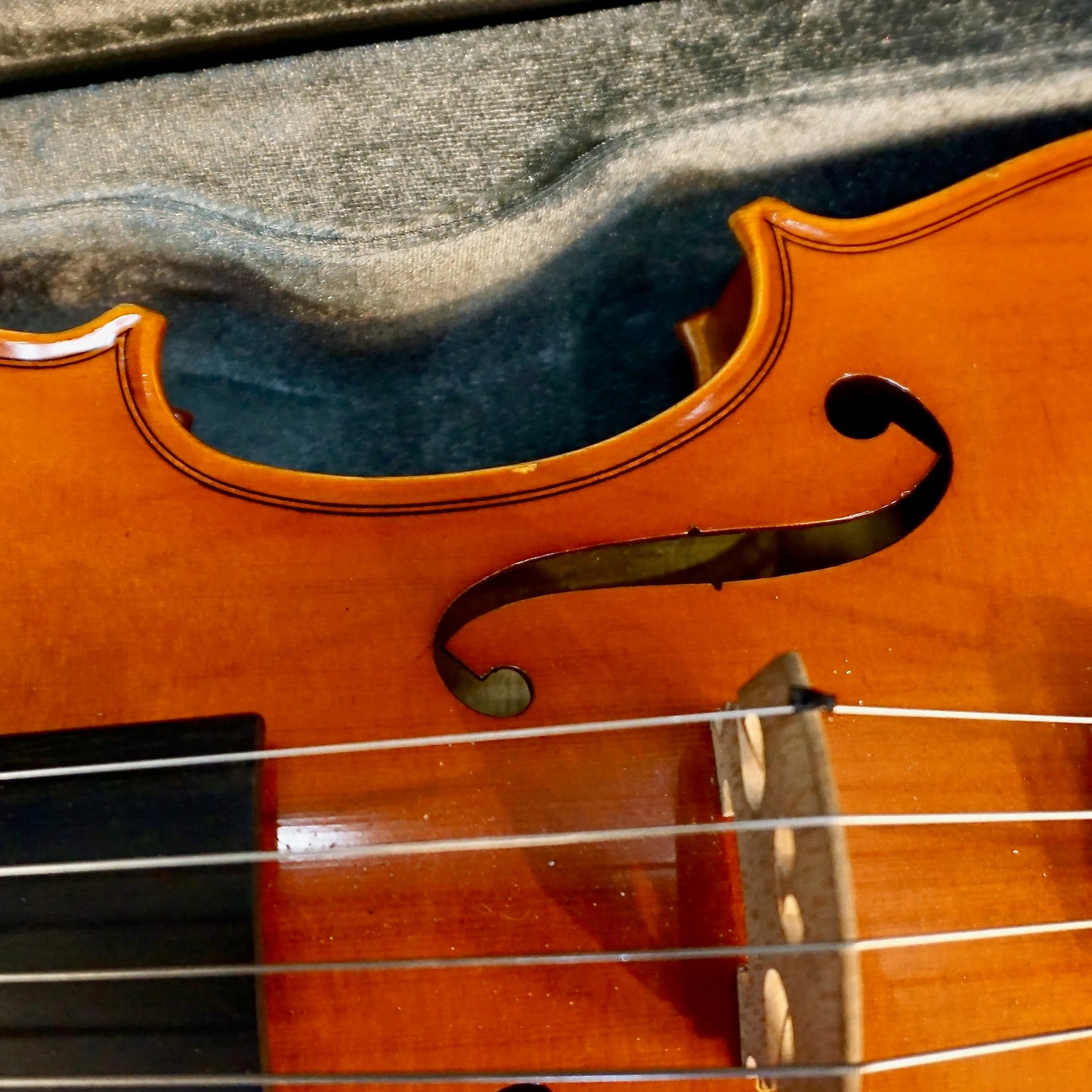 Yamaha VA5 14" Viola