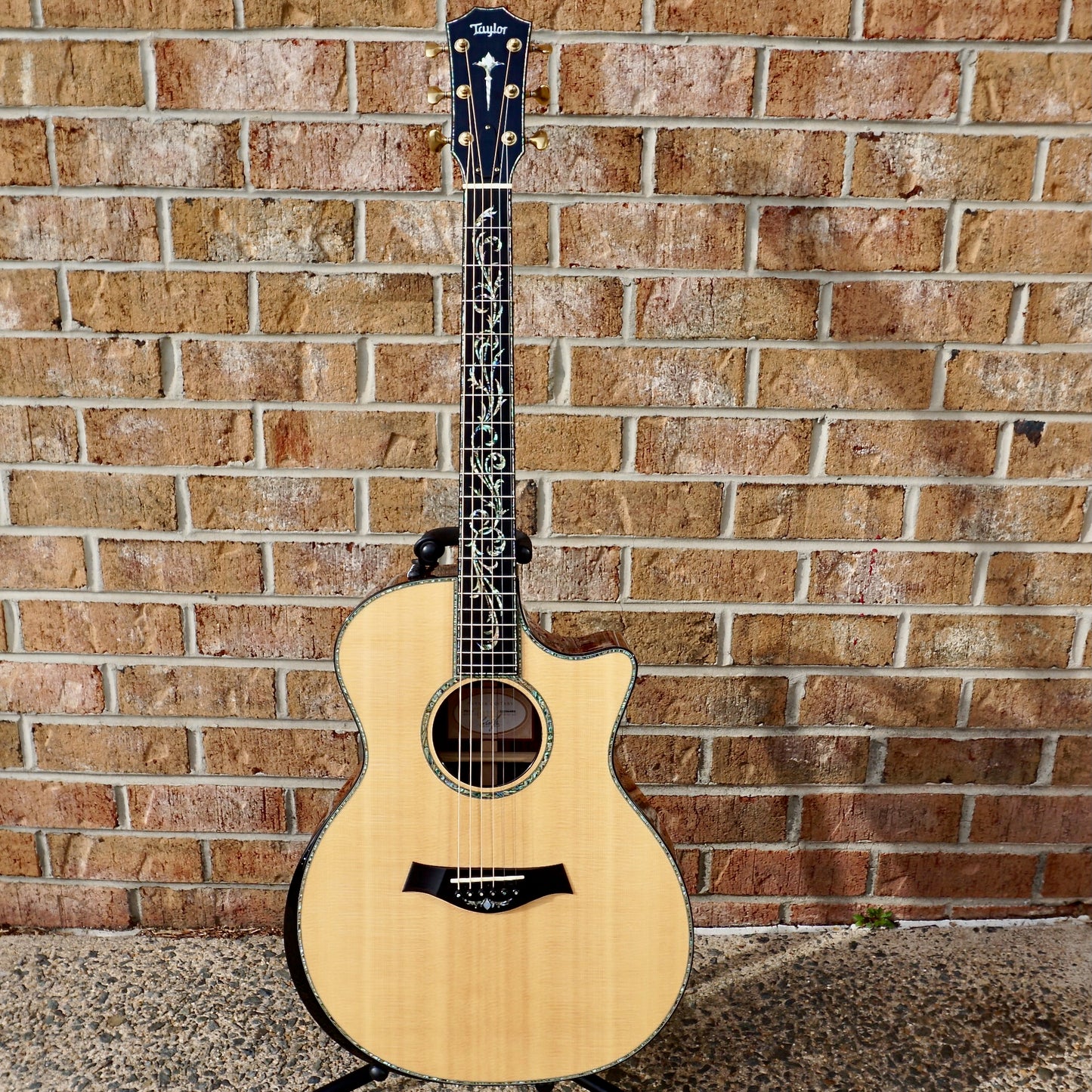 Taylor PS14-ce Adirondack // Honduran Rosewood