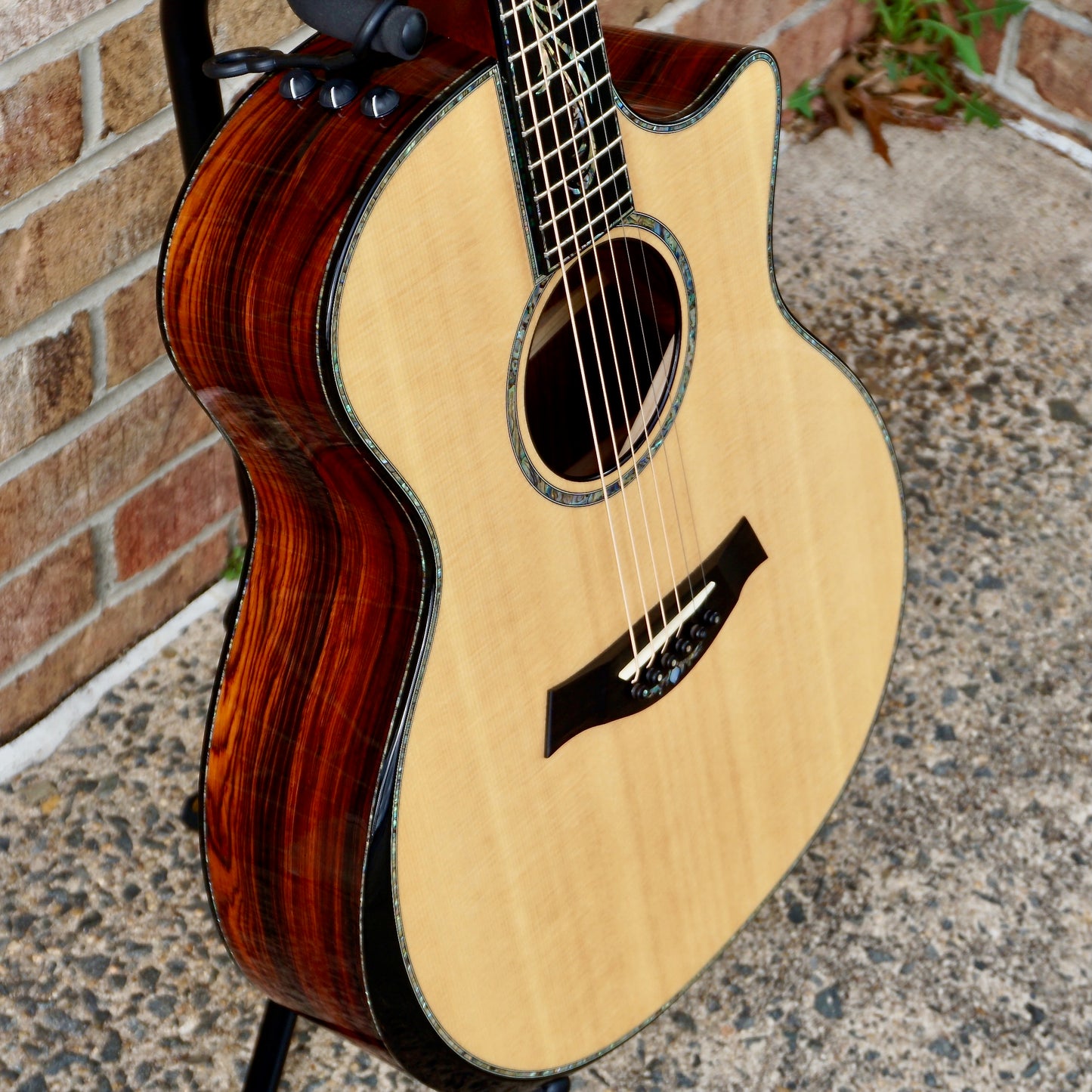 Taylor PS14-ce Adirondack // Honduran Rosewood