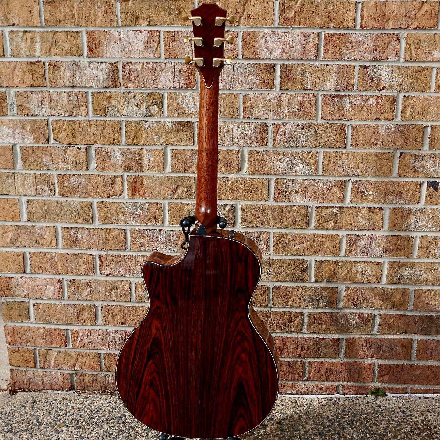Taylor PS14-ce Adirondack // Honduran Rosewood