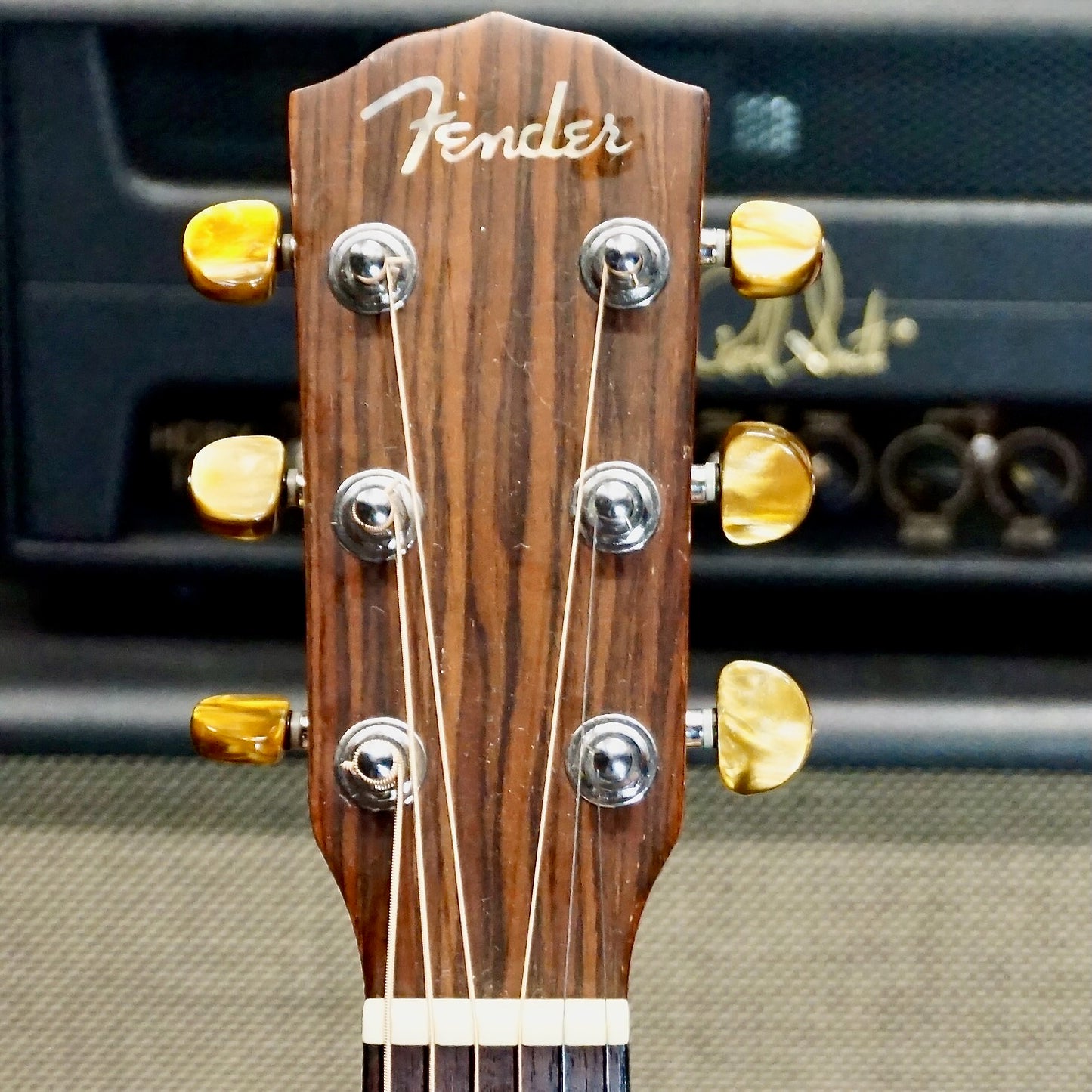 Fender DG24 MA