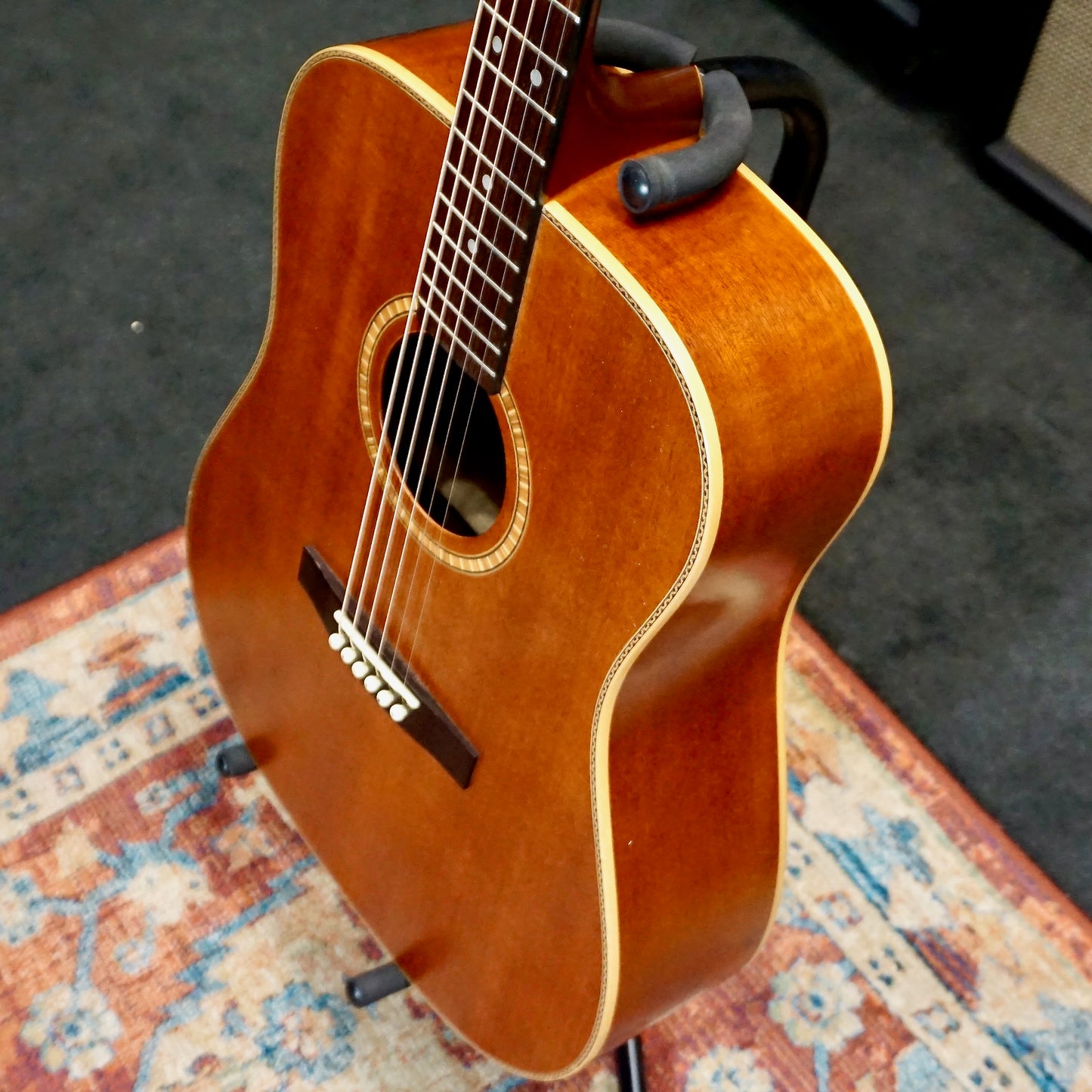 Fender DG24 MA