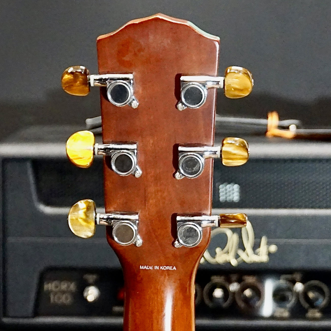 Fender DG24 MA