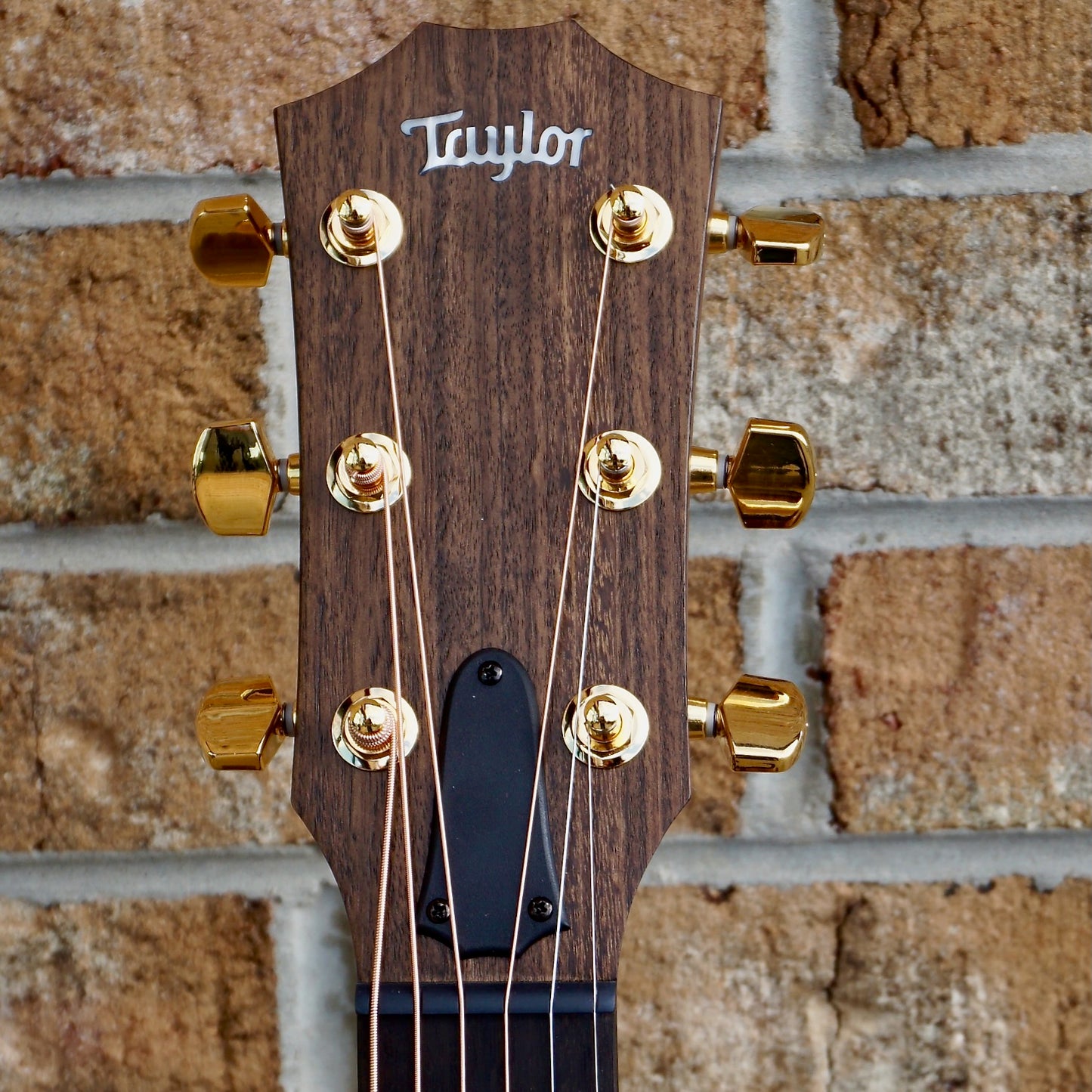 Taylor 50th Anniversary AD14ce-SB LTD