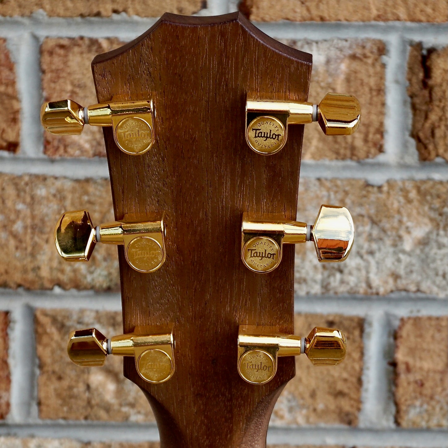 Taylor 50th Anniversary AD14ce-SB LTD