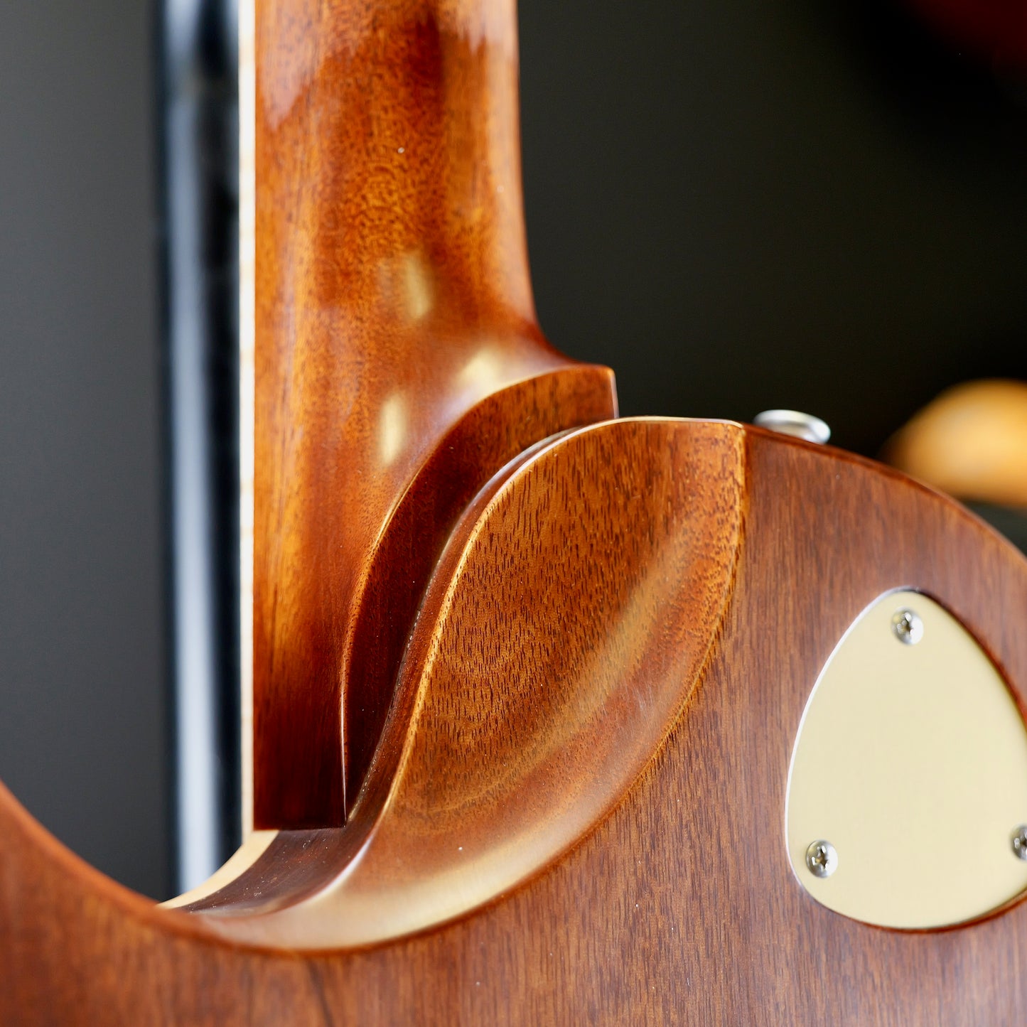 Patrick James Eggle Macon Carve Top Lemon Burst
