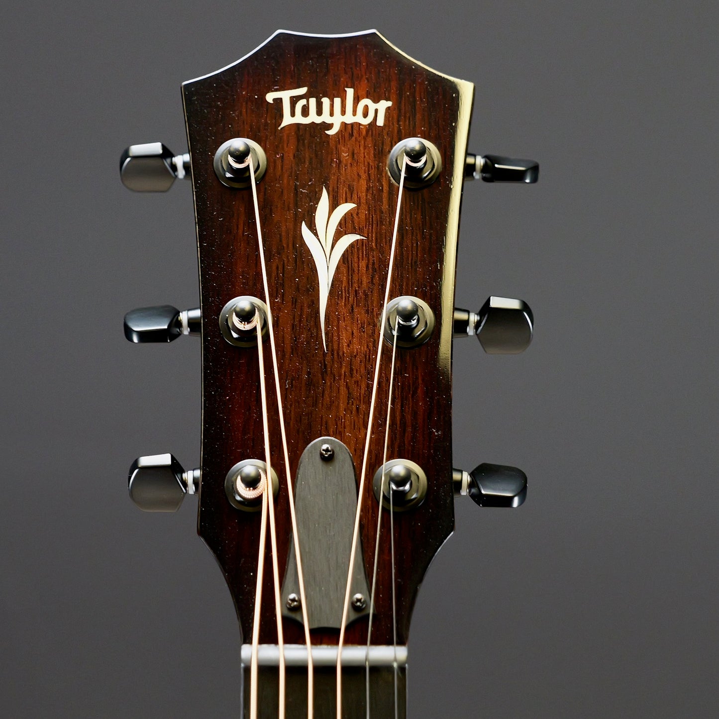 Taylor C22e B3025 #25// Circa 74 Amp