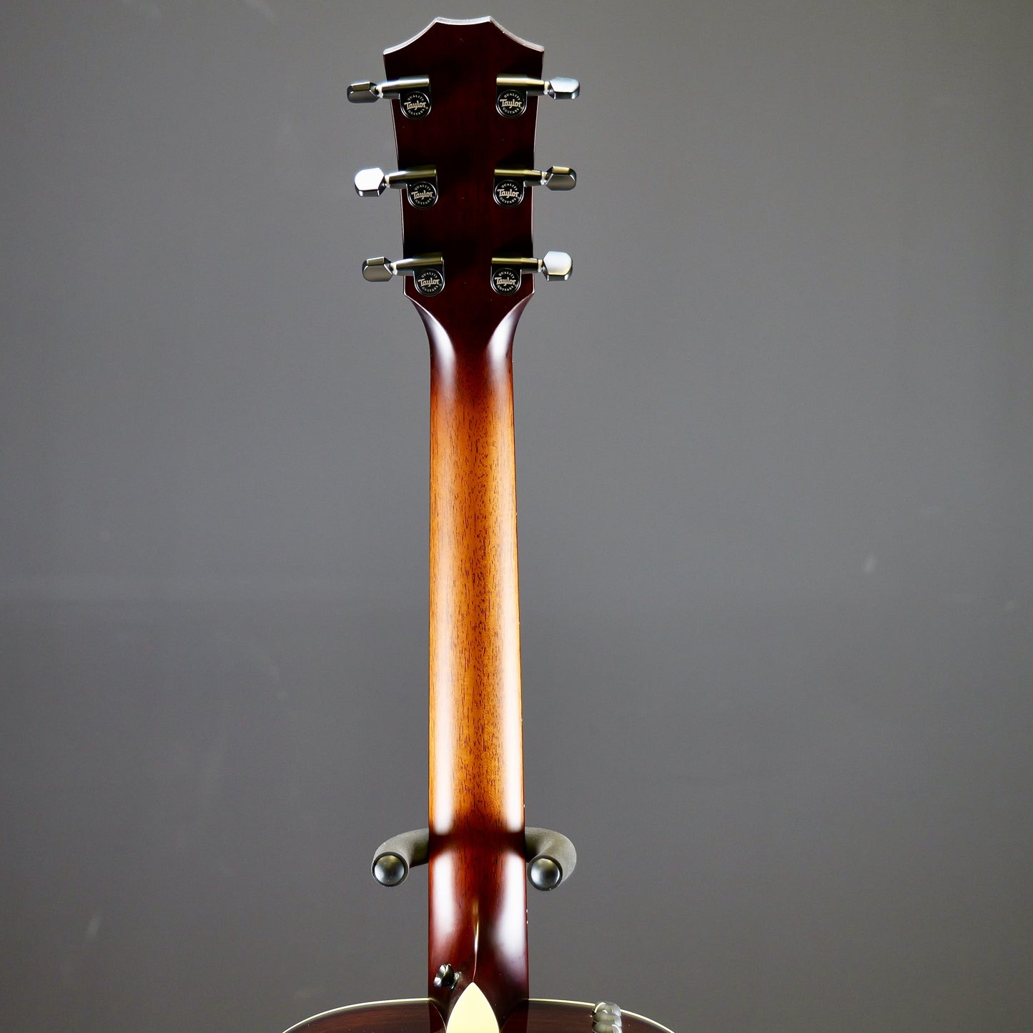 Taylor C22e B3025 #25// Circa 74 Amp