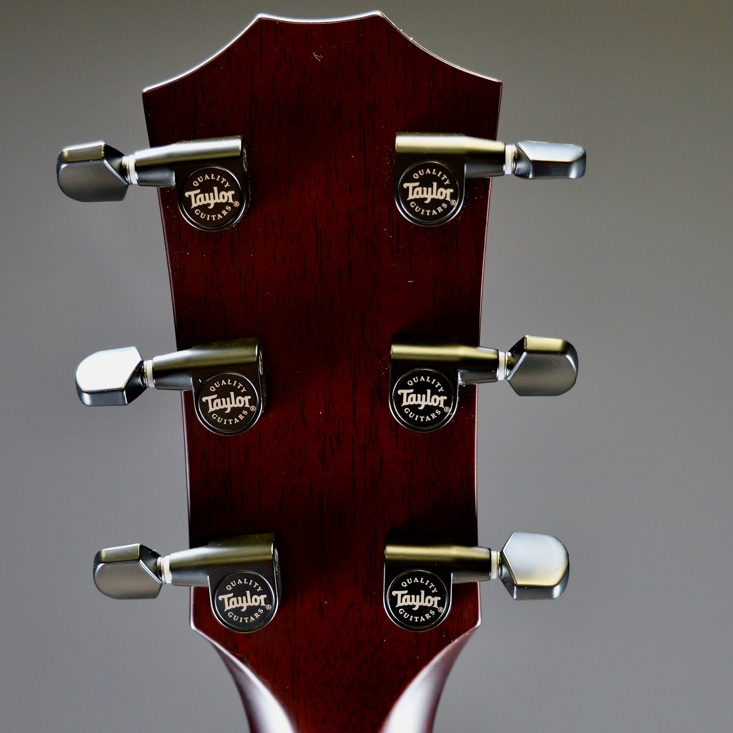 Taylor C22e B3025 #25// Circa 74 Amp