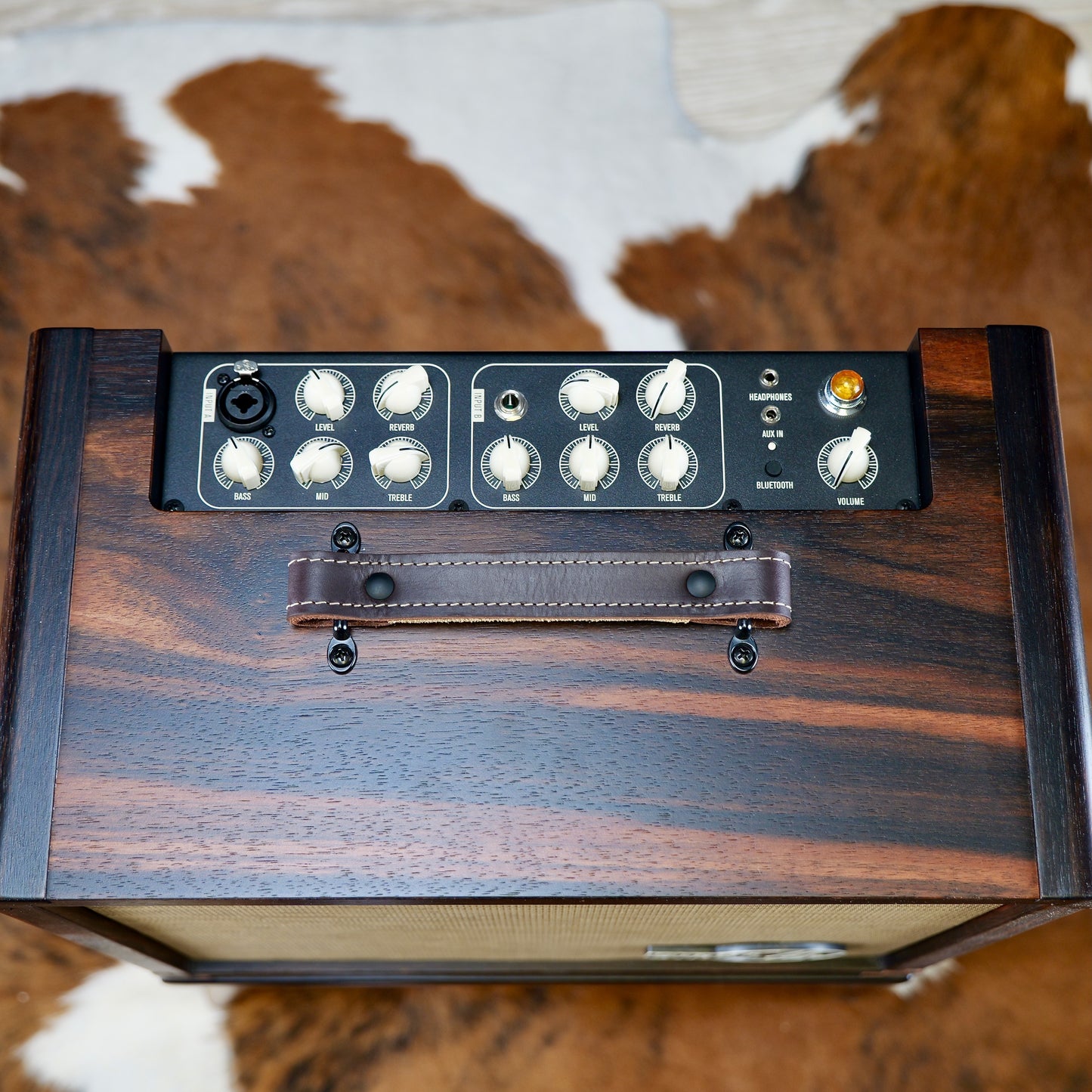 Taylor C22e B3025 #25// Circa 74 Amp