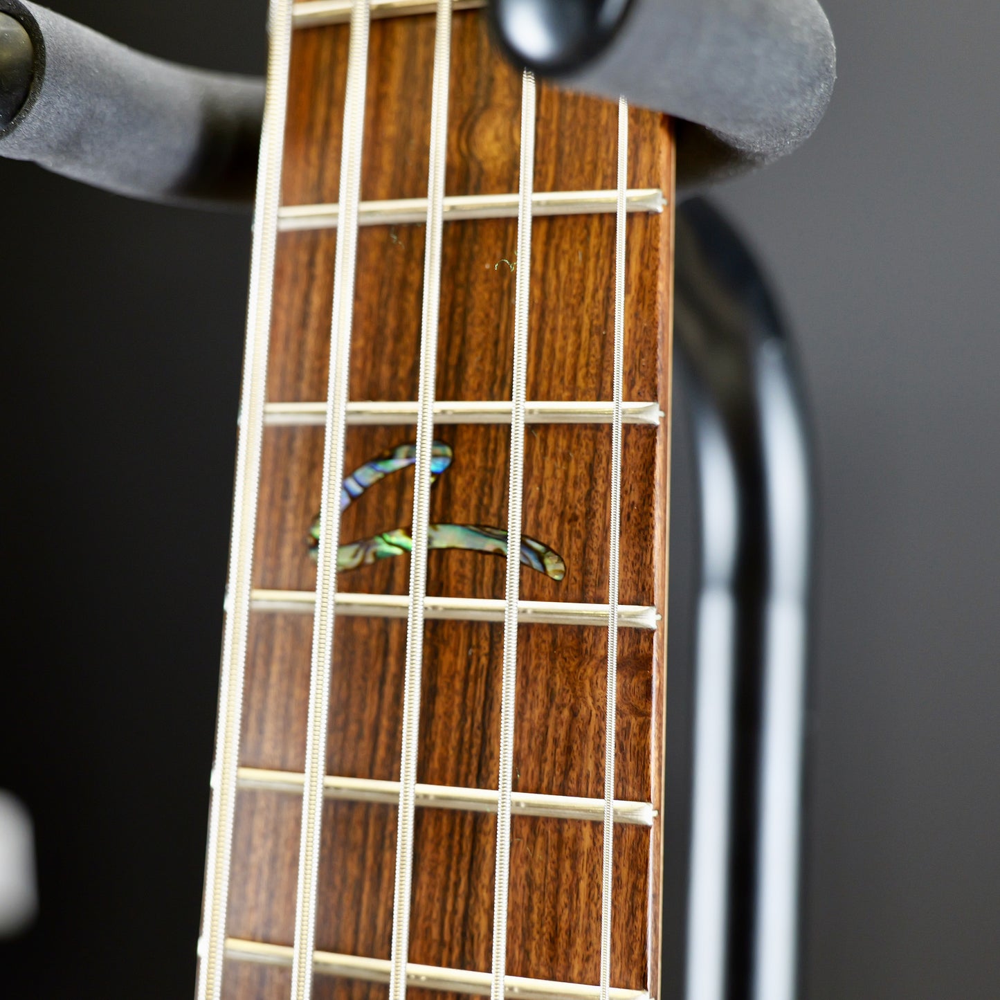 Peavey Cirrus 5 String Bass Flamed Maple USA