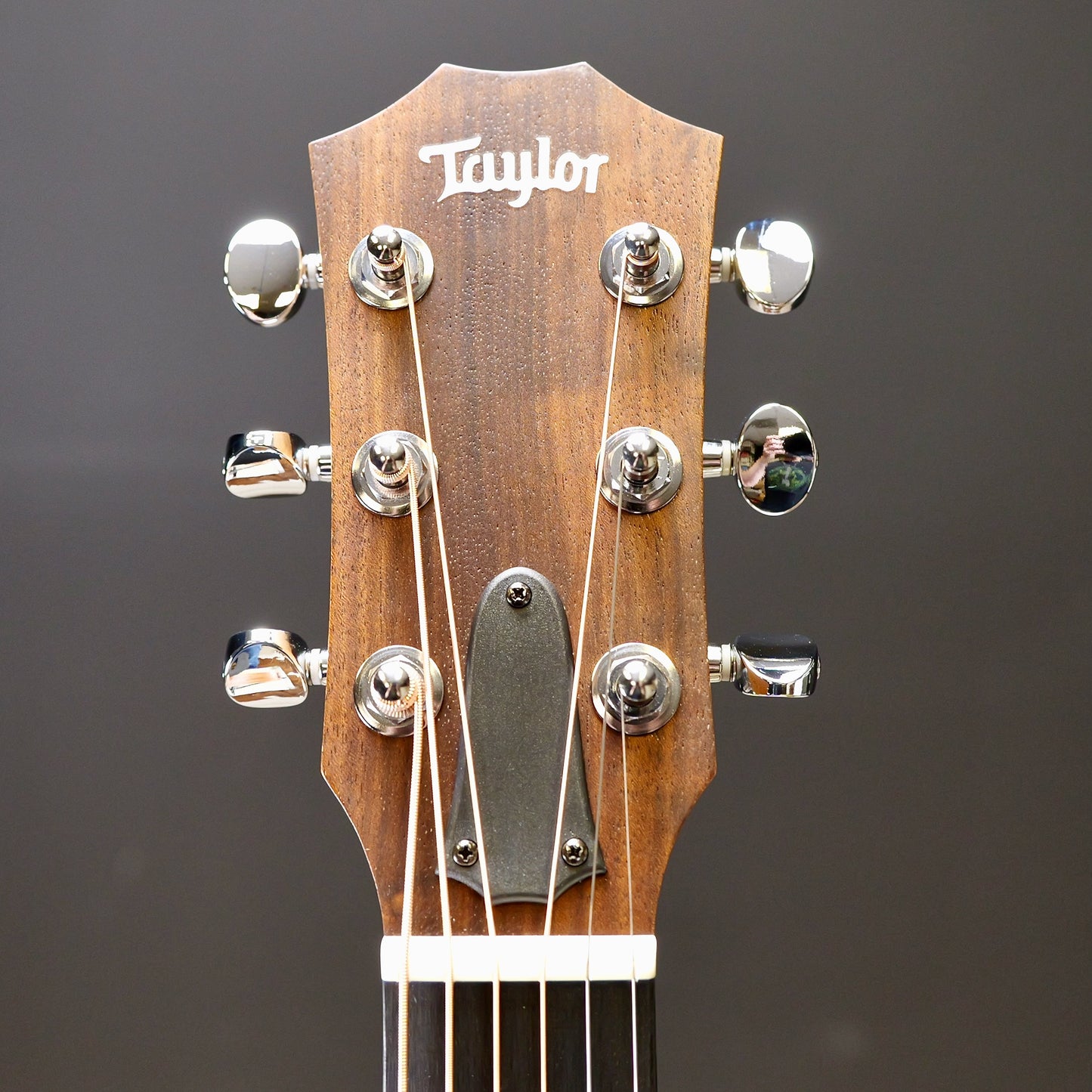 Taylor GS Mini-e Special Edition Trans Black