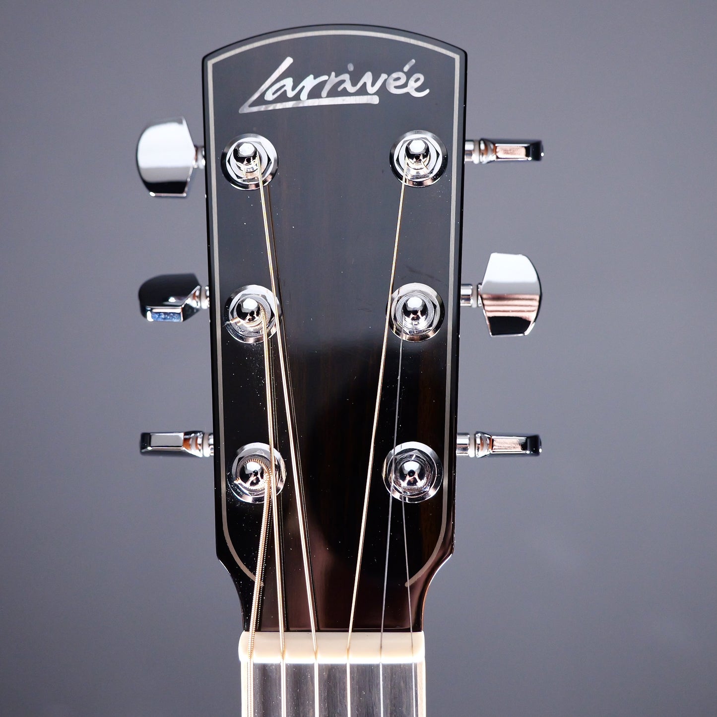 Larrivee LV-09E