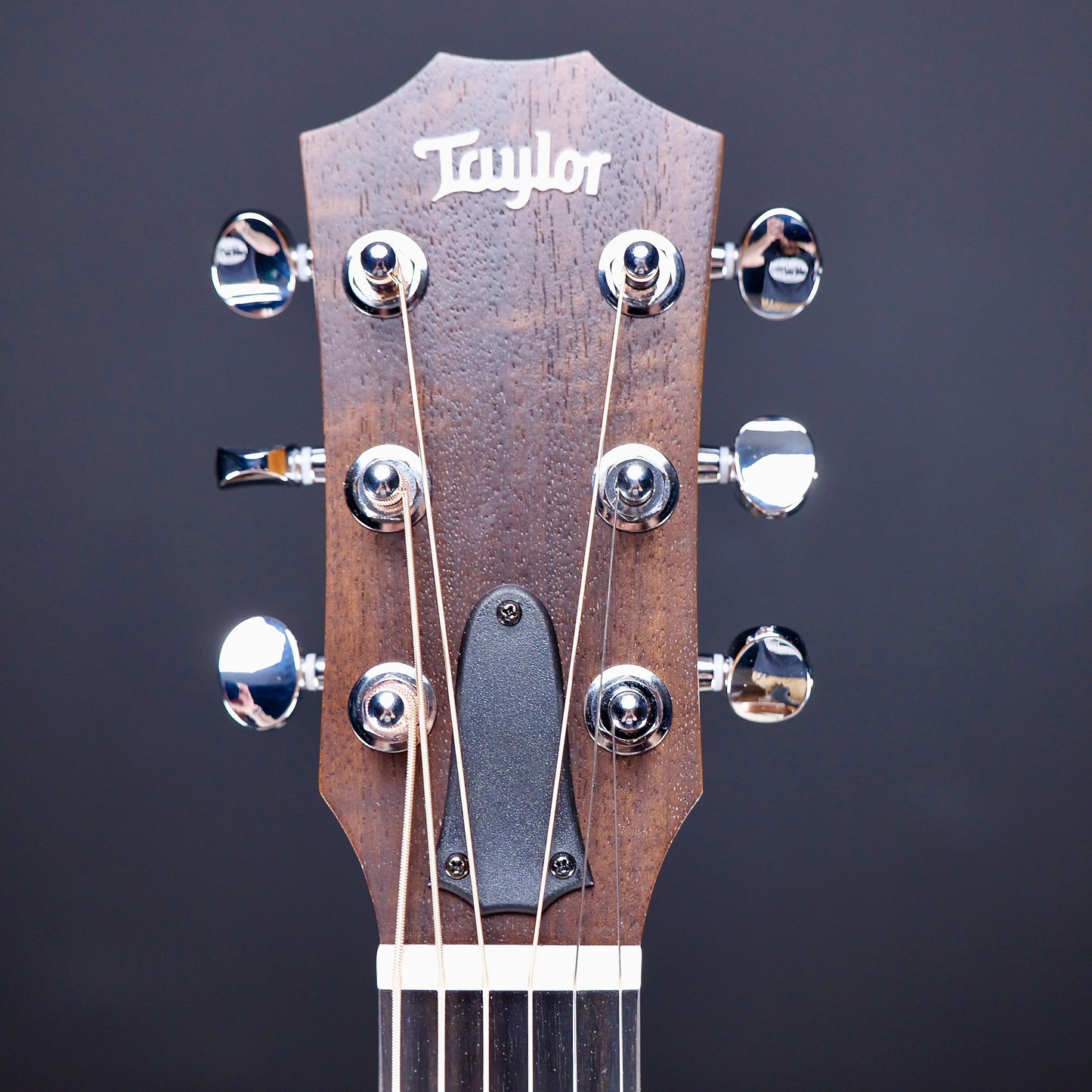 Taylor GS Mini Sapele