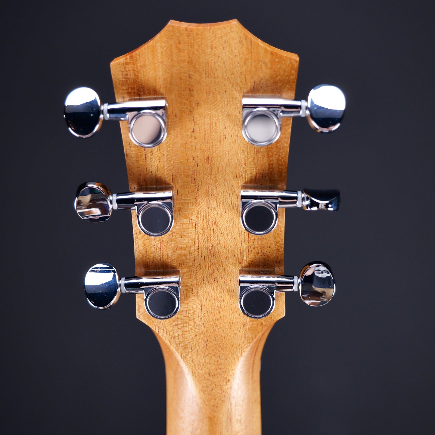 Taylor GS Mini Sapele