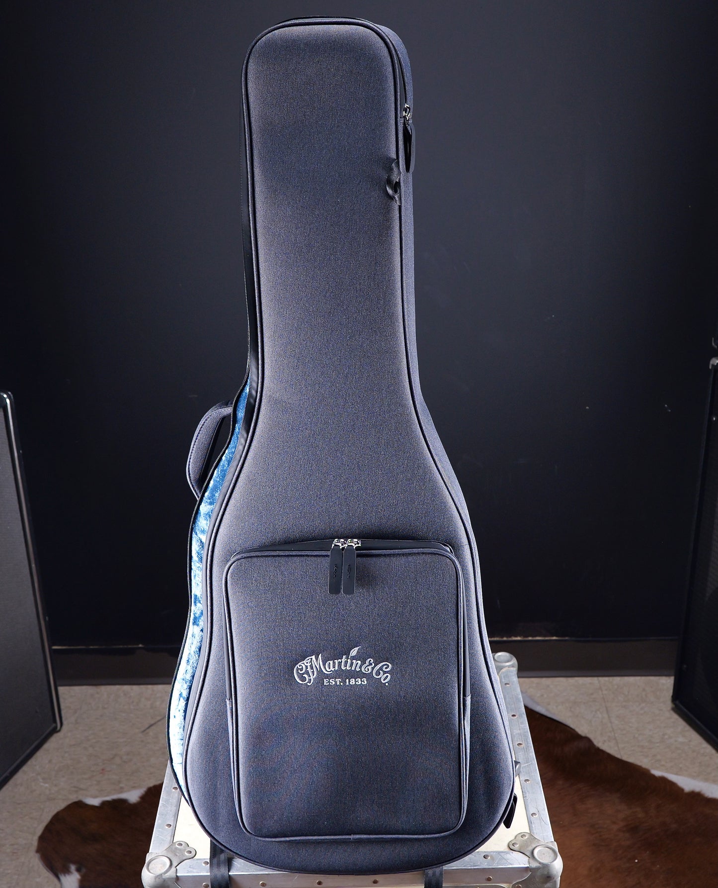 Martin DX10E