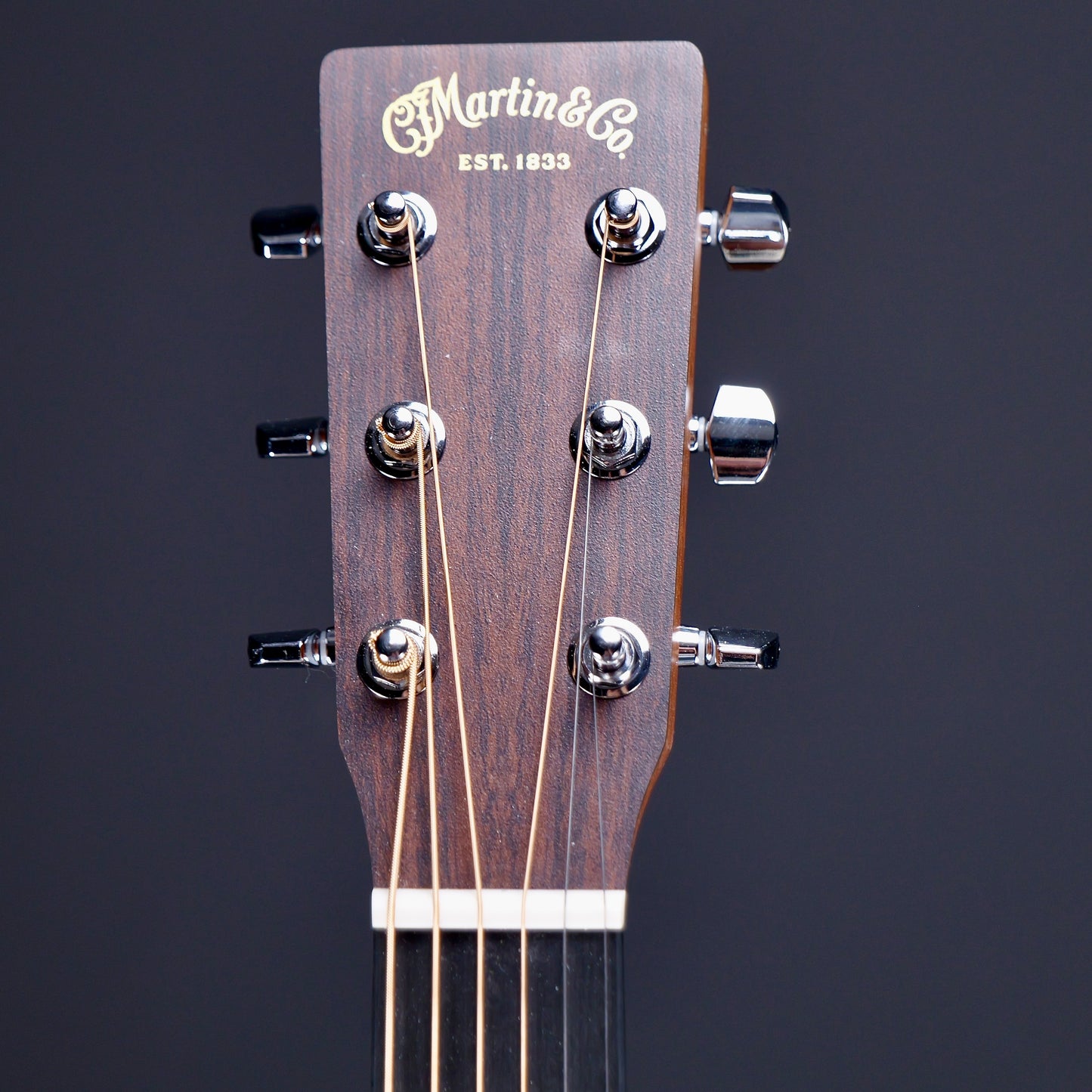Martin DX10E