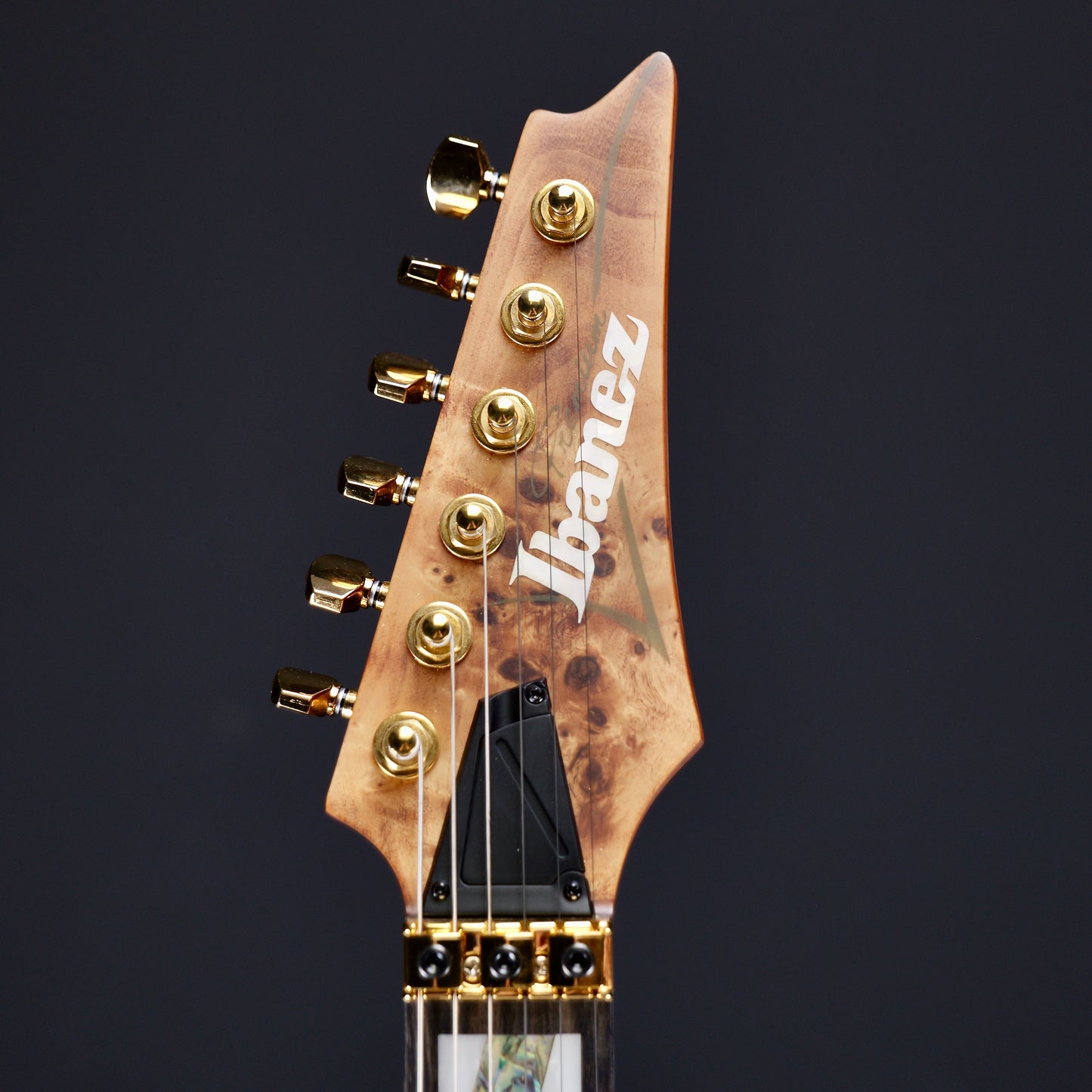 Ibanez Premium RGT1220PB Antique Brown Stained
