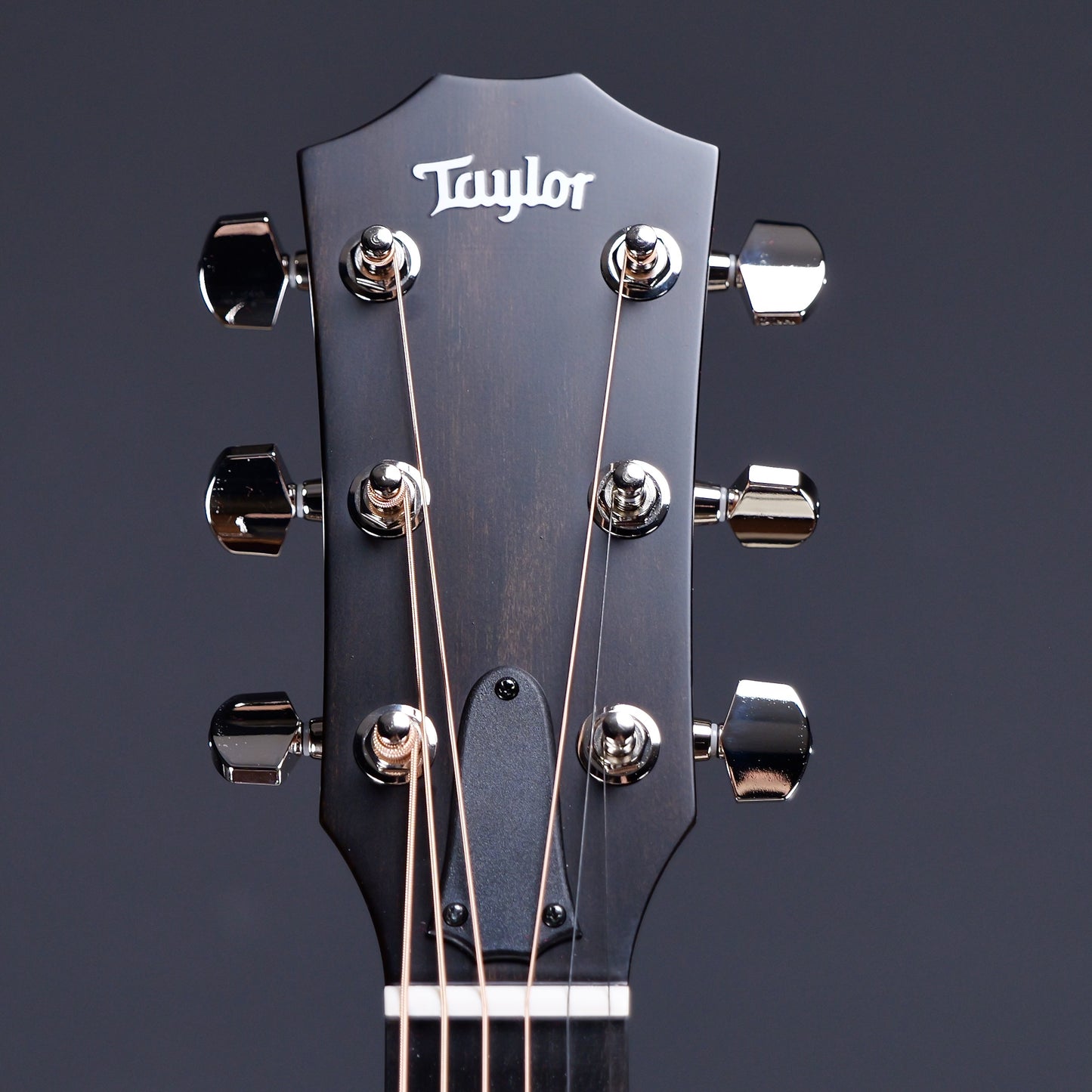 Taylor 414ce Studio