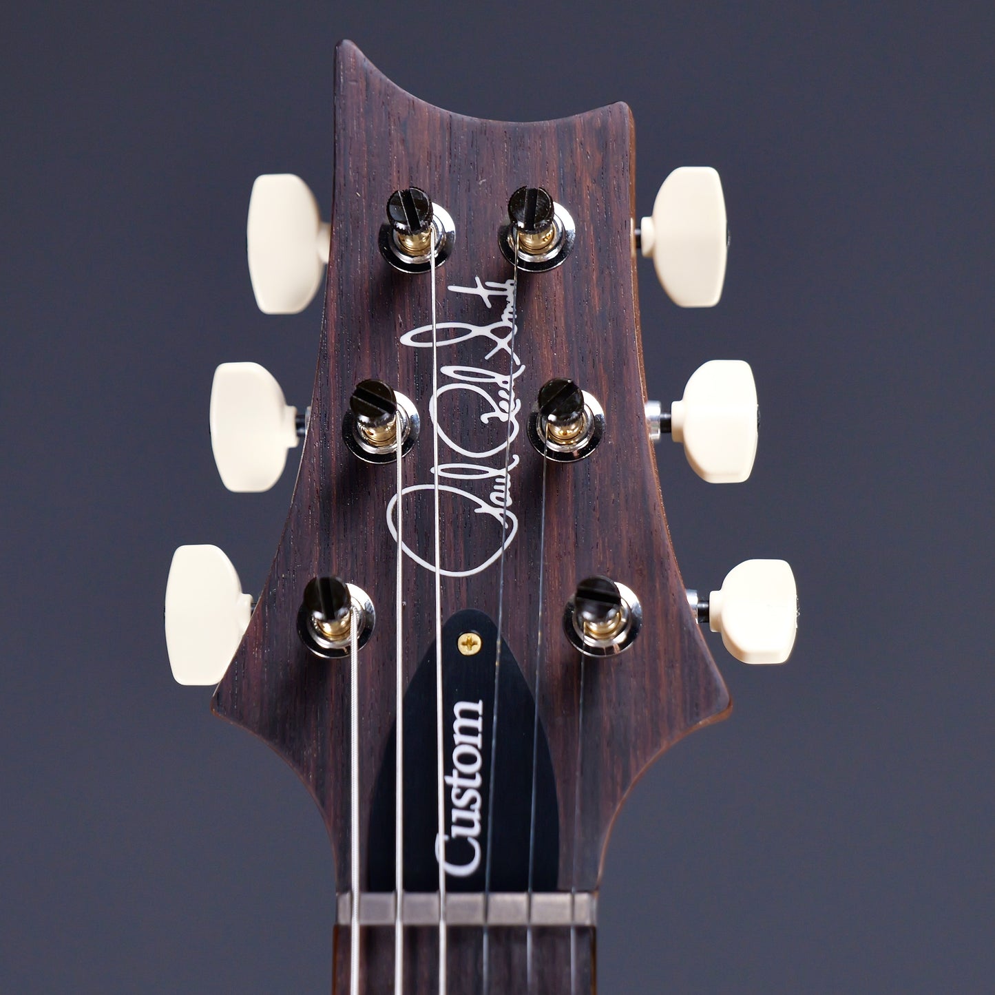 PRS Custom 24 10 Top Aurora Borealis