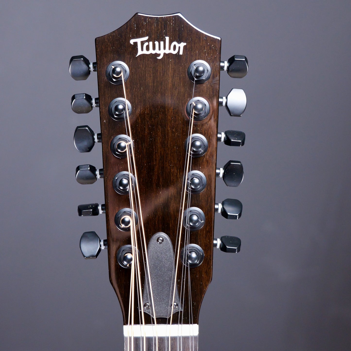 Taylor 250ce Black Deluxe
