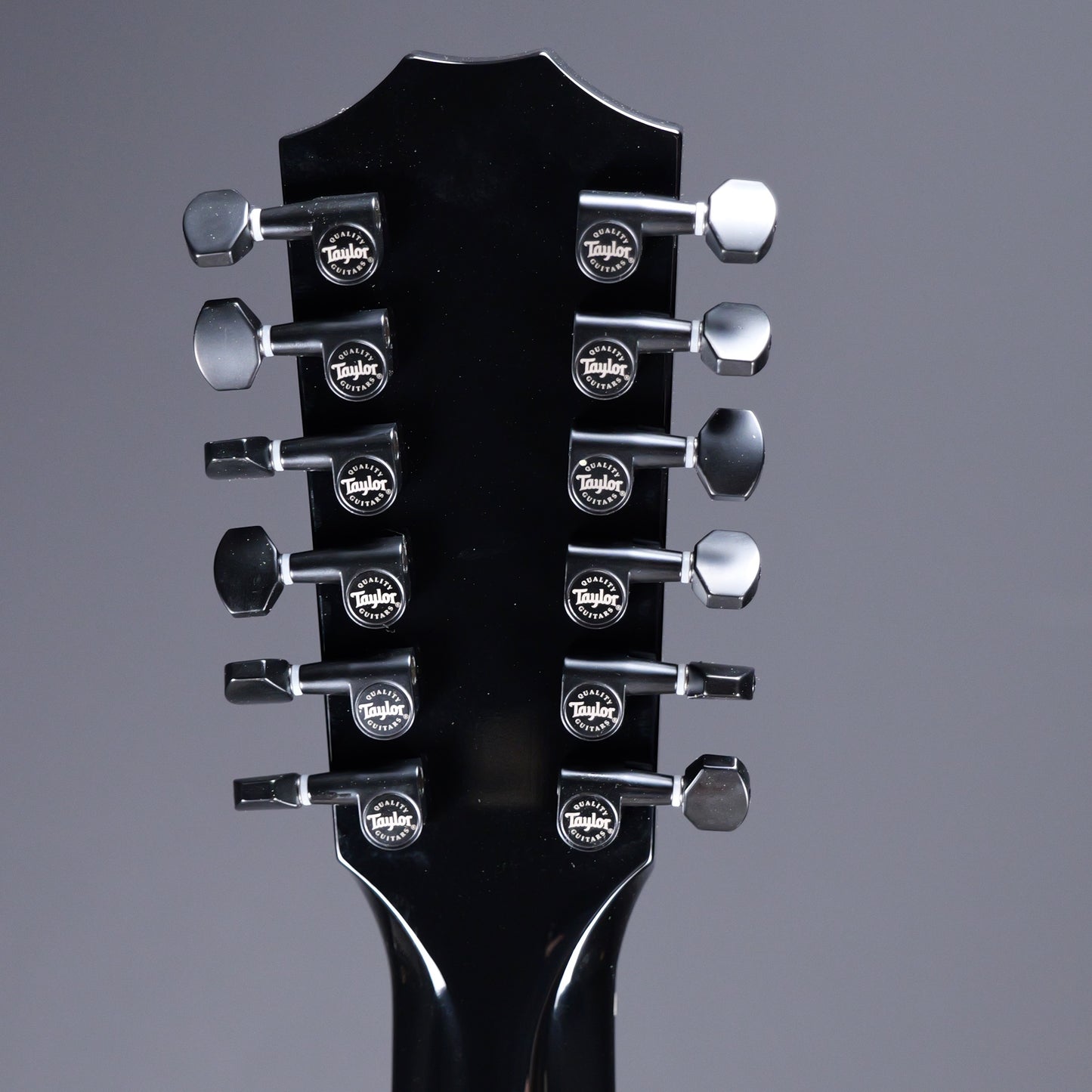 Taylor 250ce Black Deluxe