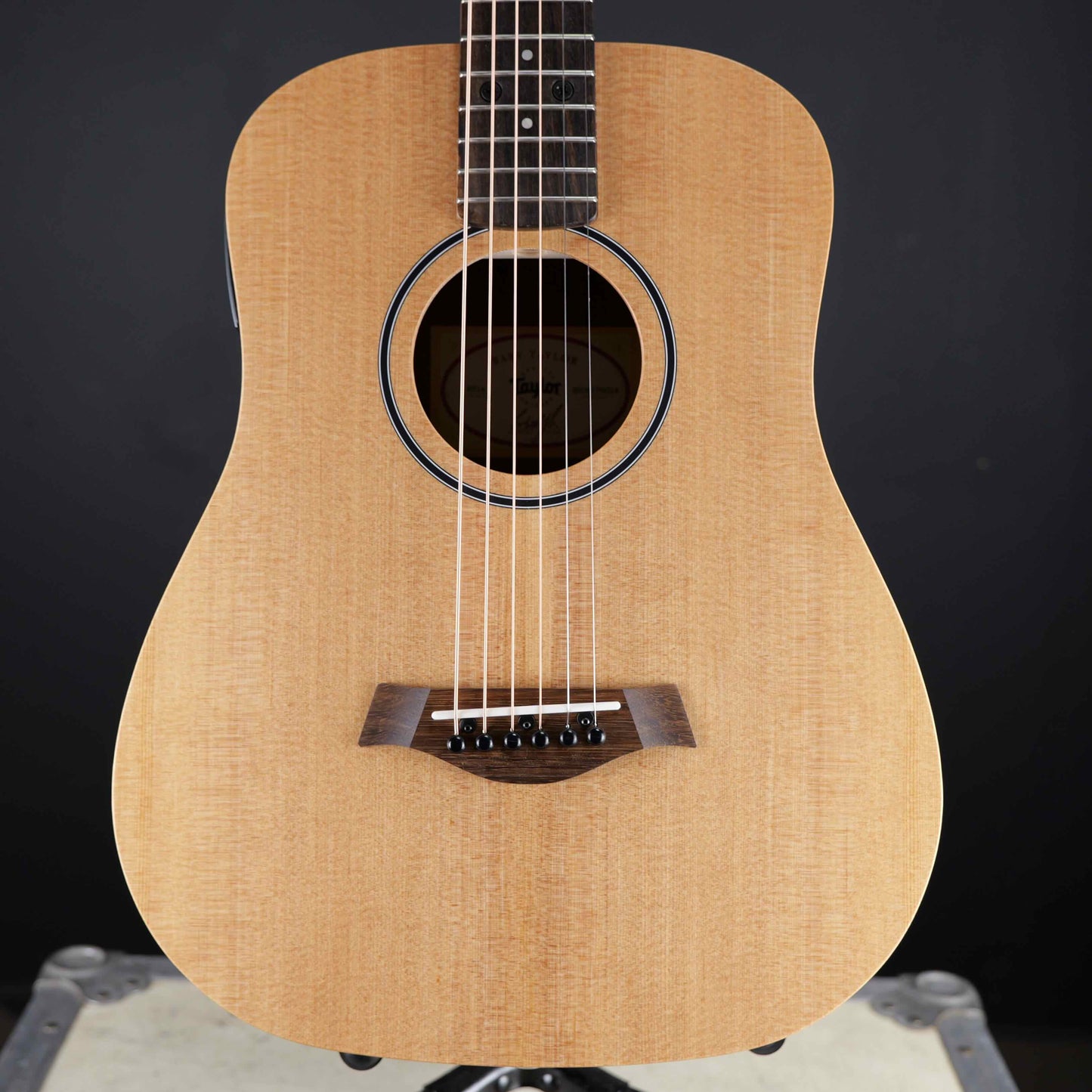 Taylor BT1e