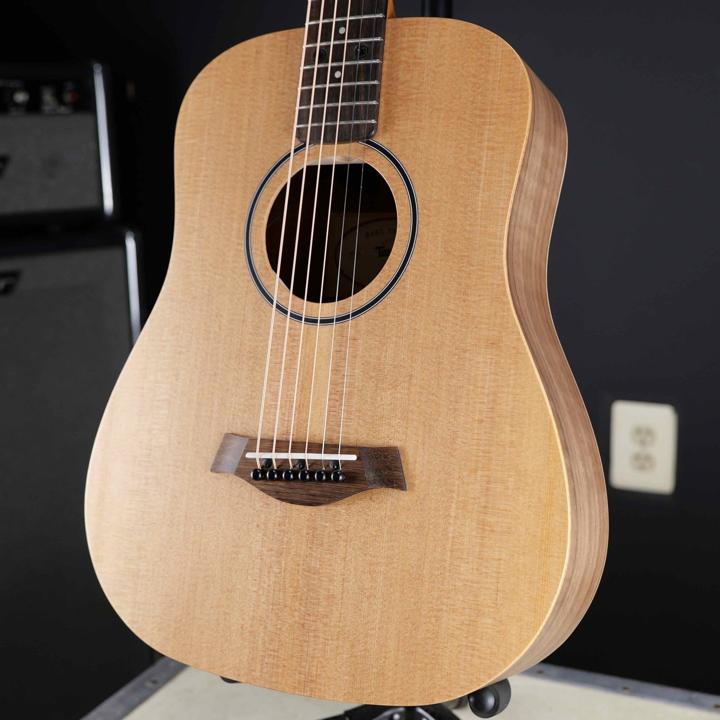 Taylor BT1e