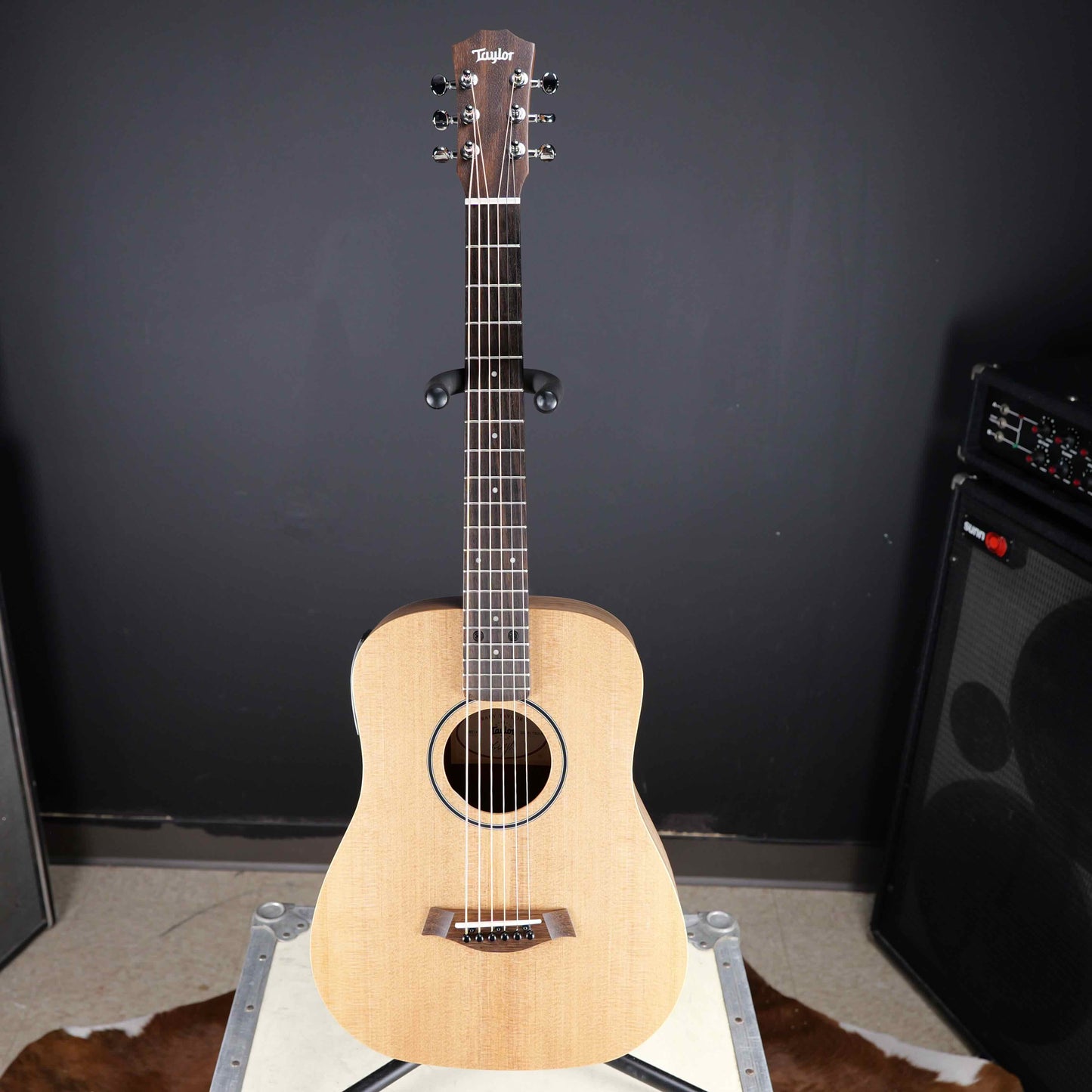 Taylor BT1e