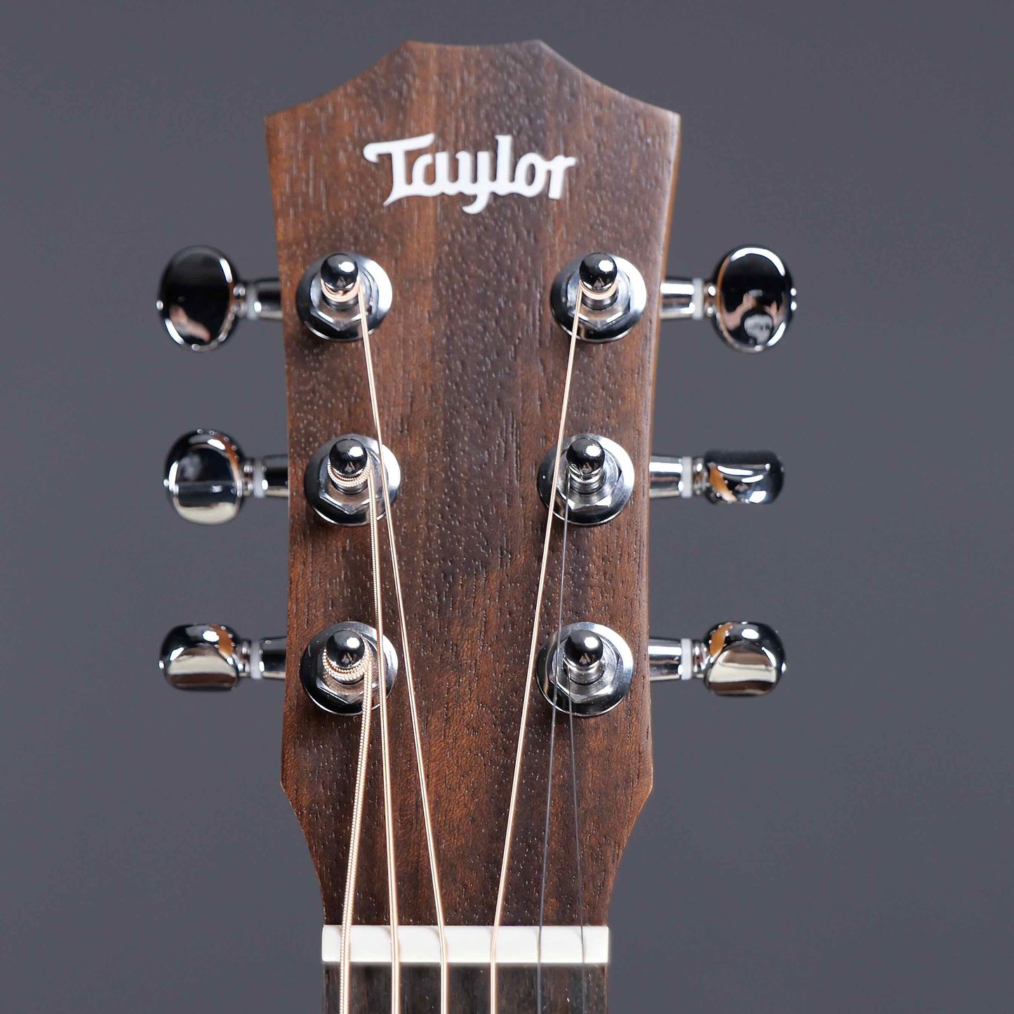 Taylor BT1e