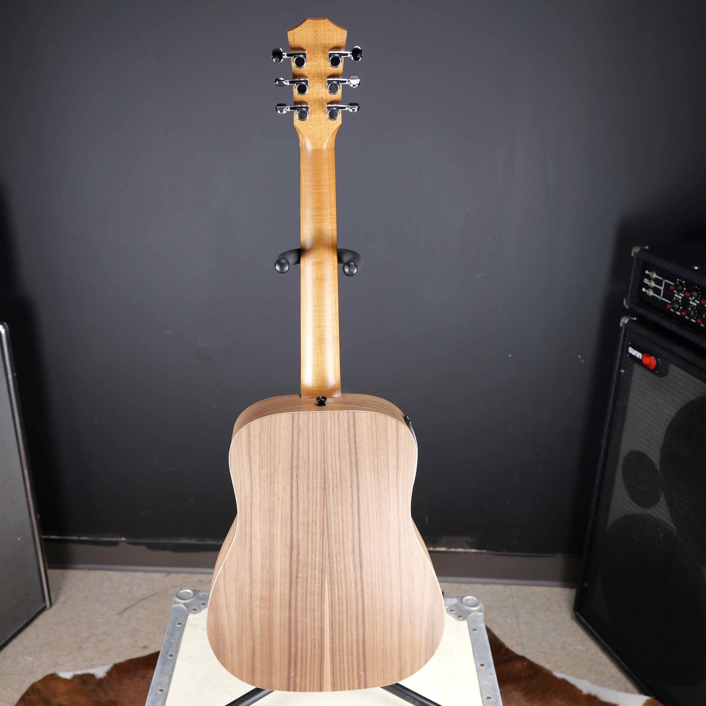 Taylor BT1e