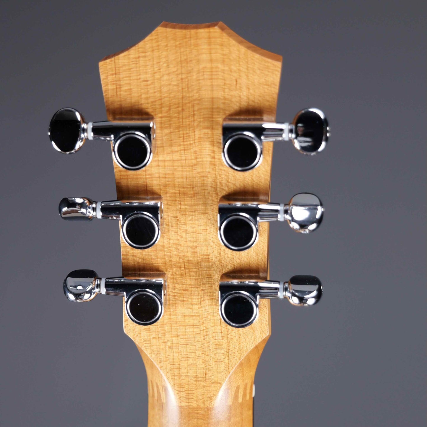 Taylor BT1e