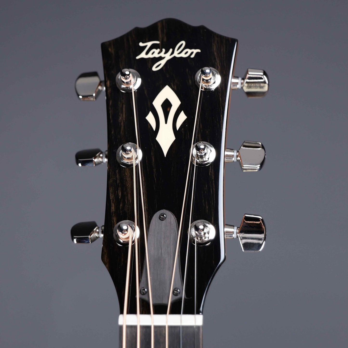 Taylor Gold Label 717e SB