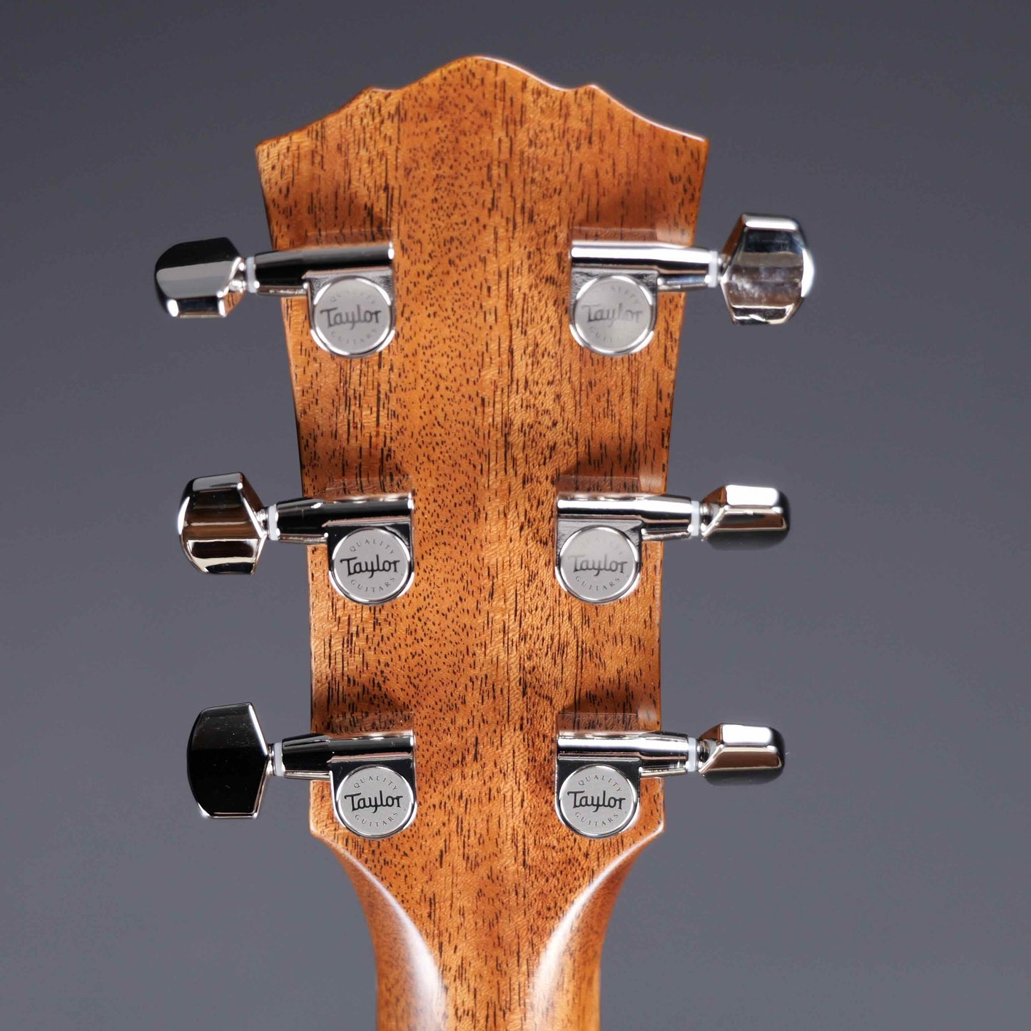 Taylor Gold Label 717e SB