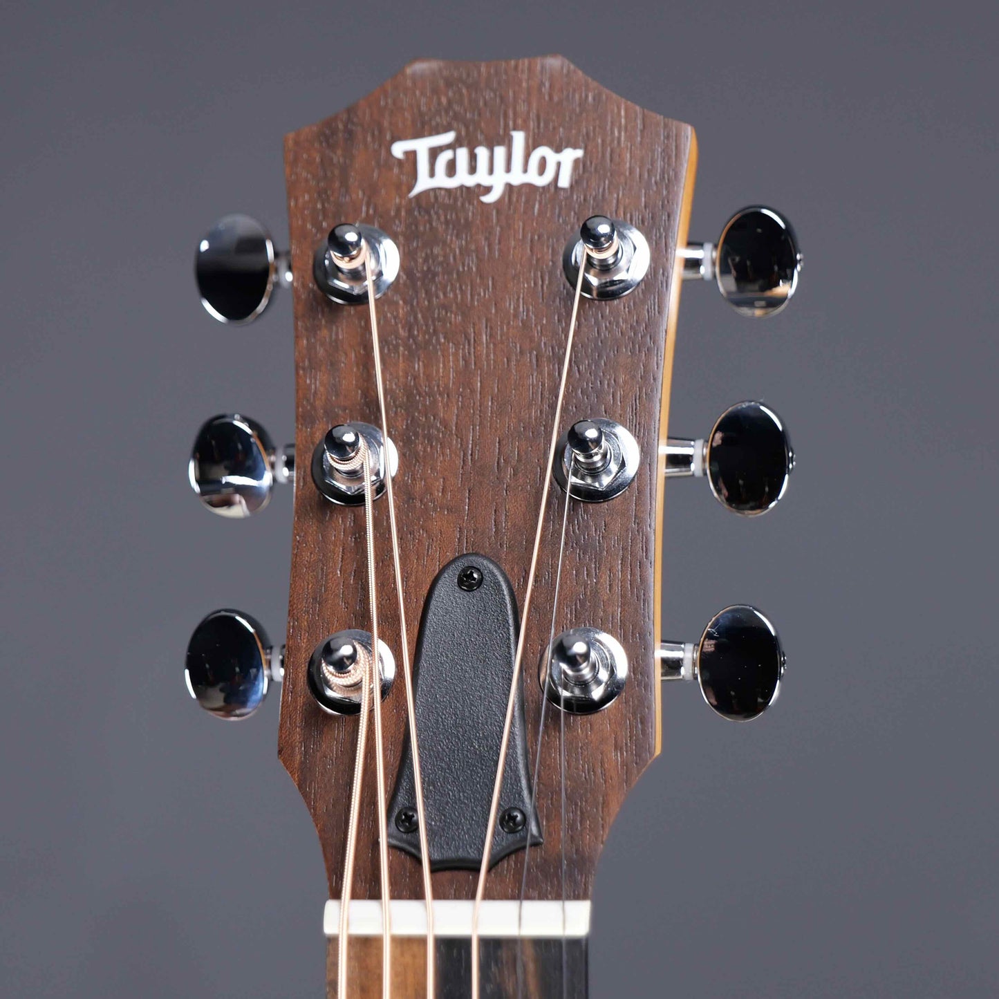 Taylor GS Mini-e Rosewood SB