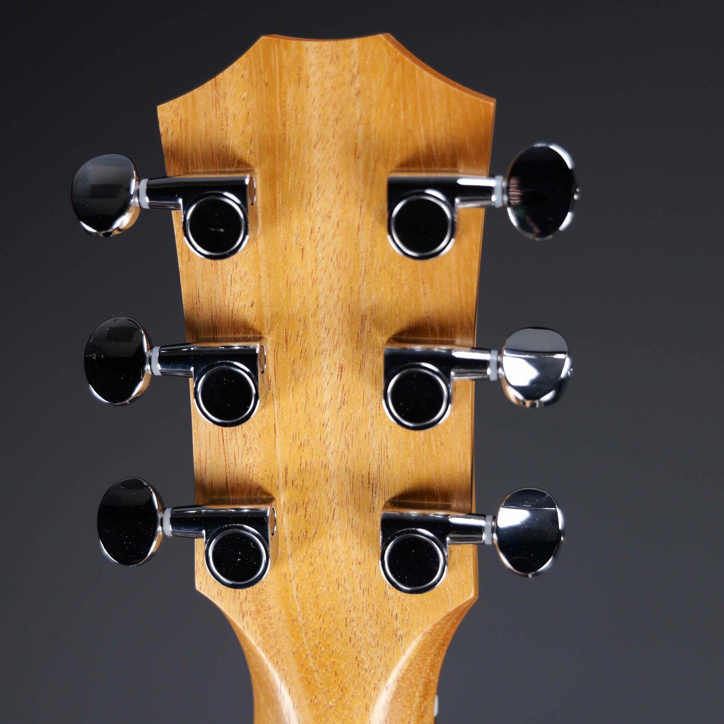 Taylor GS Mini-e Rosewood SB