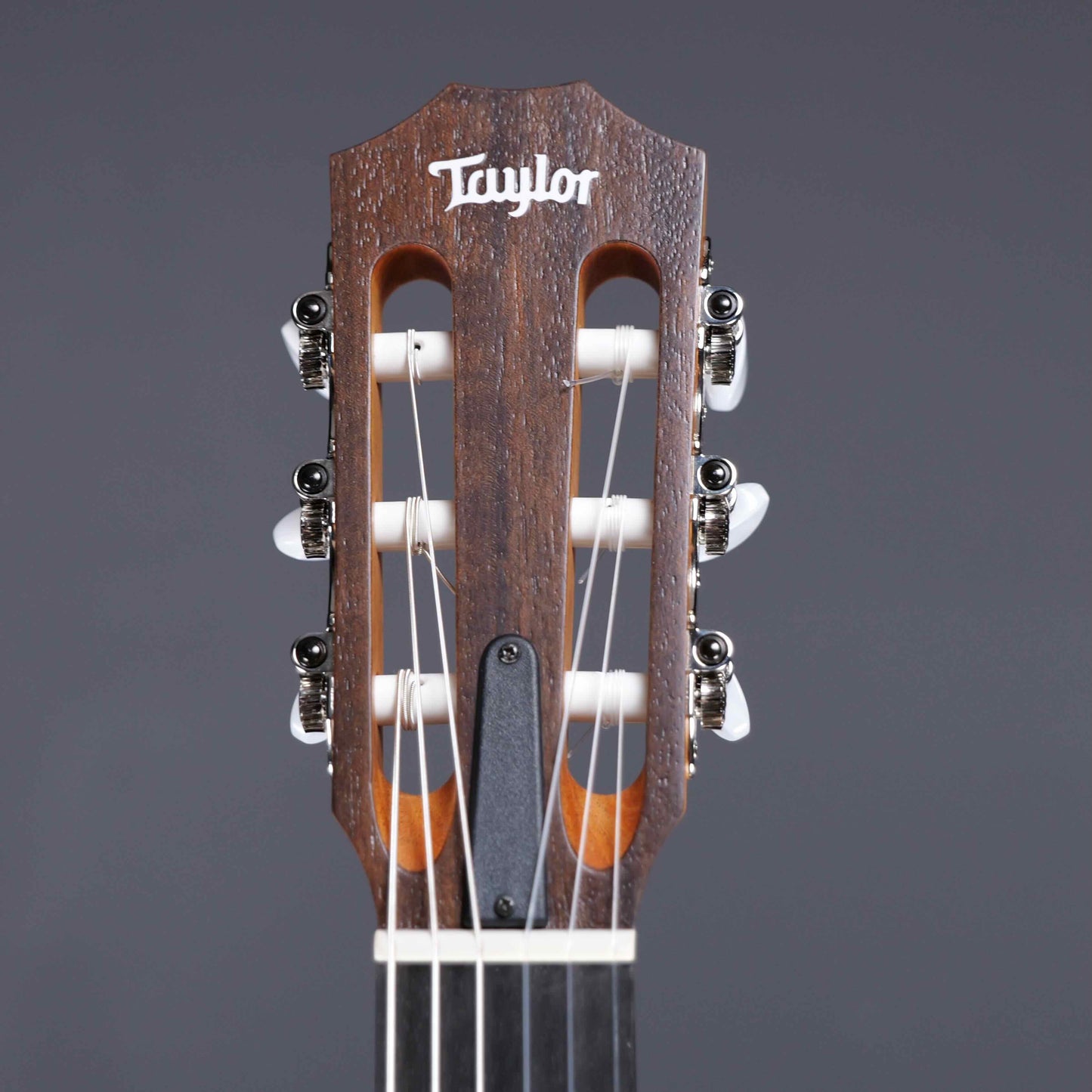 Taylor Academy 12e-N