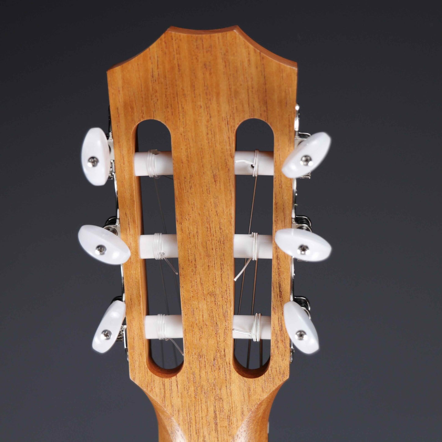 Taylor Academy 12e-N