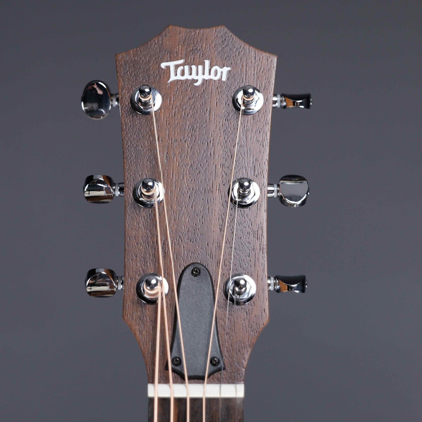 Taylor BBTe